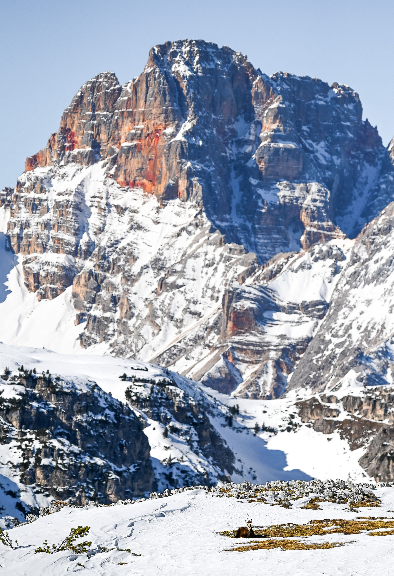 The guardian of the Croda Rossa