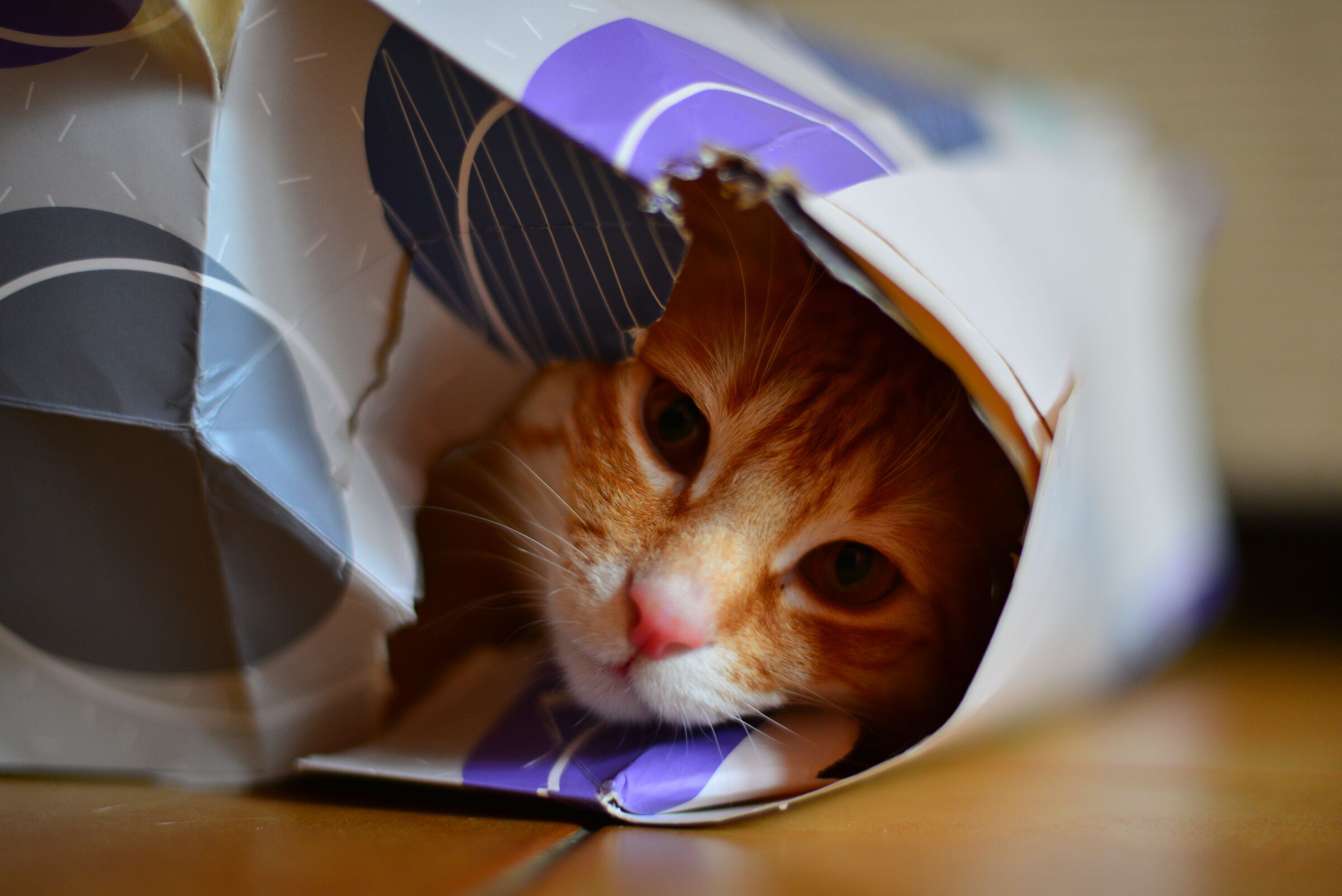 Ah, but did you need this bag?..