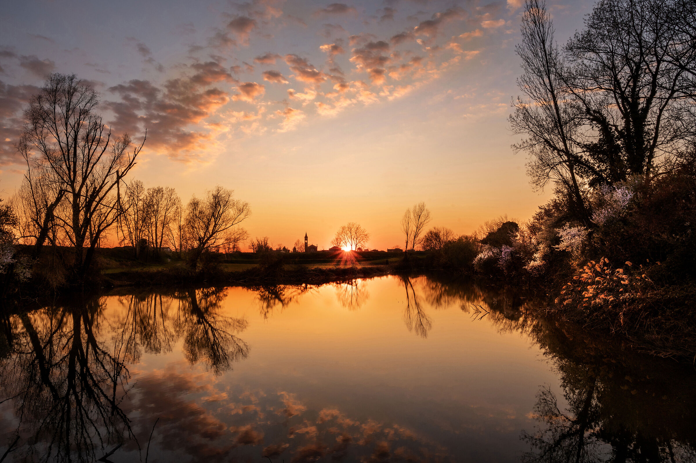 Segnali di risveglio