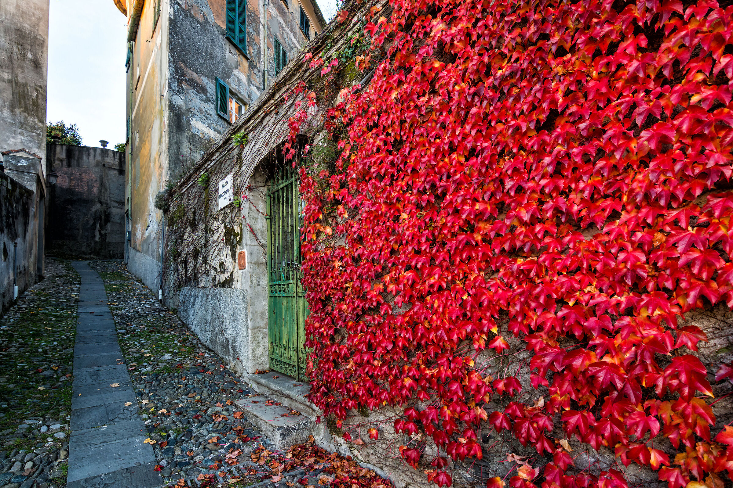 The red wall