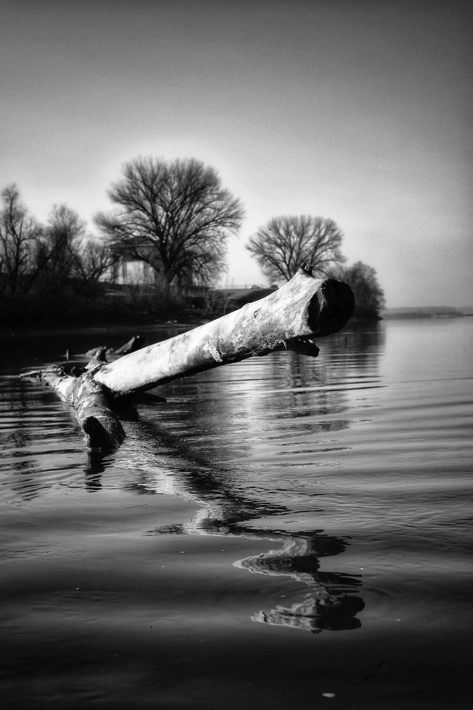 Fiume Po, emersioni.