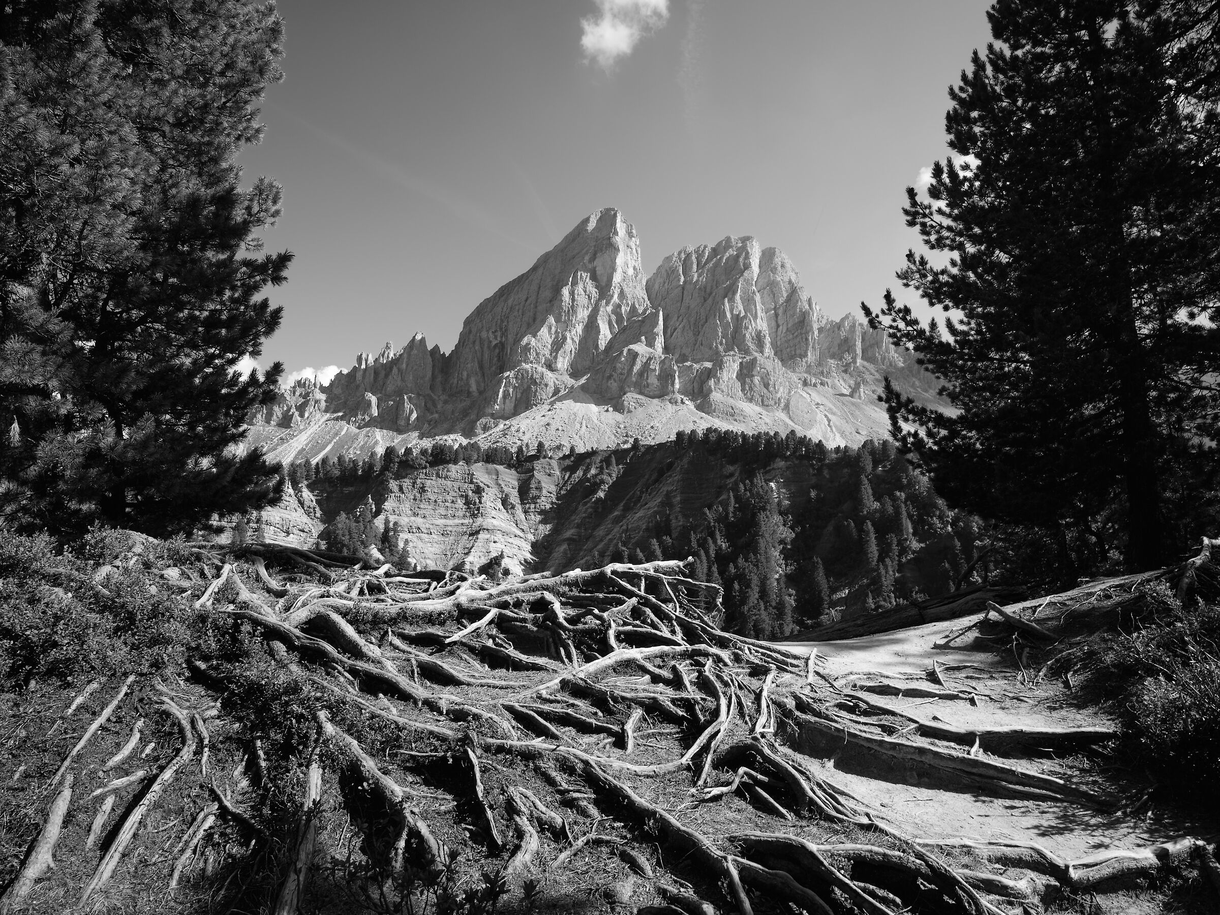 Dolomiti