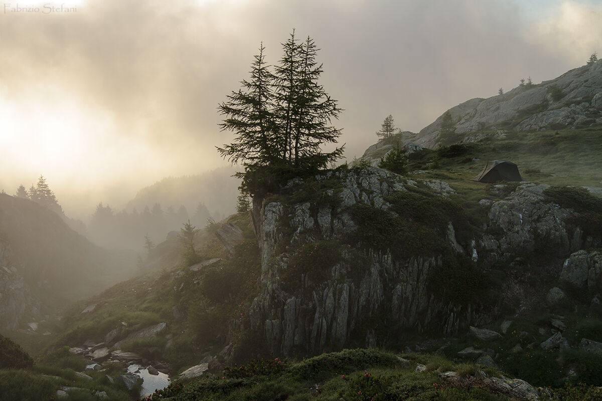 Wilderness