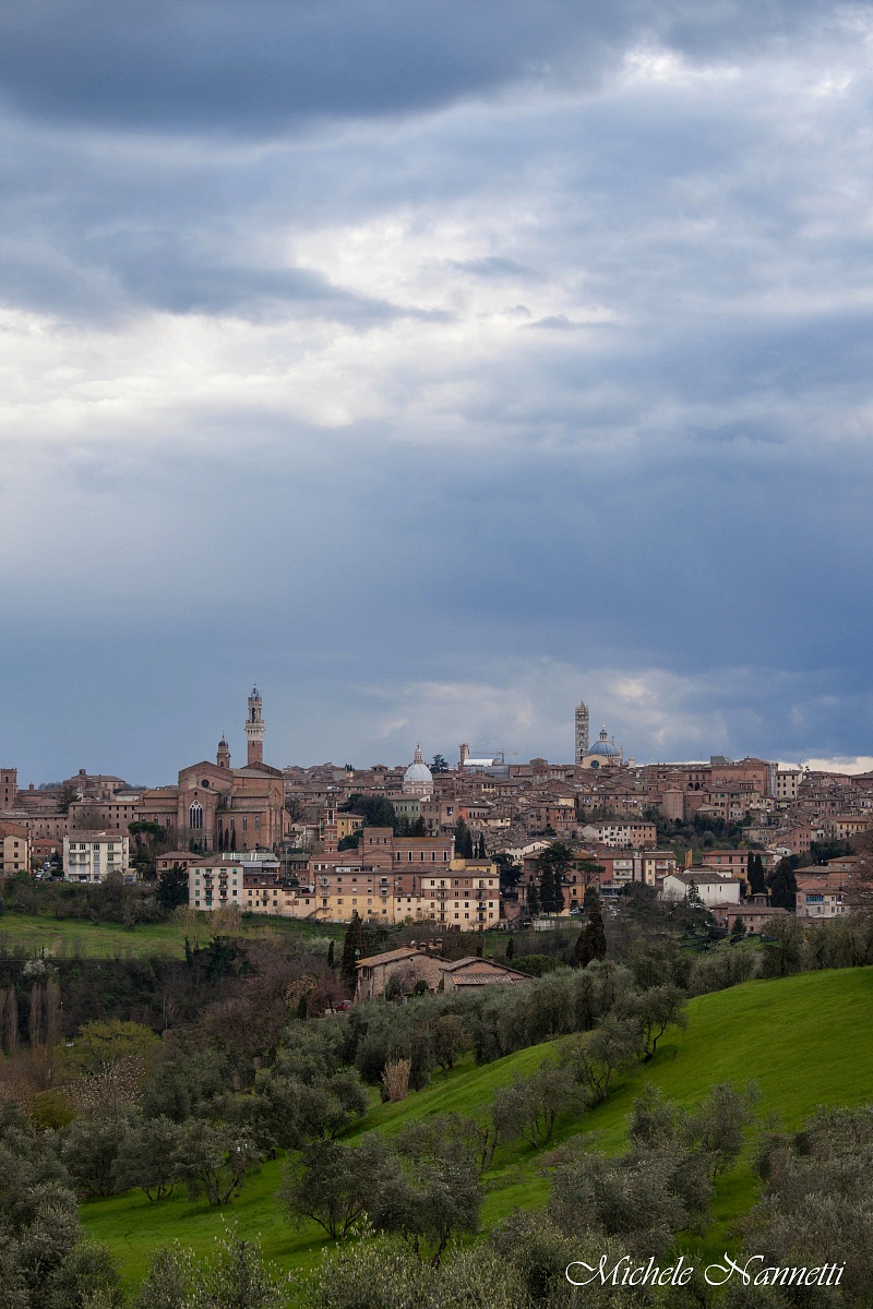 Siena temporal view
