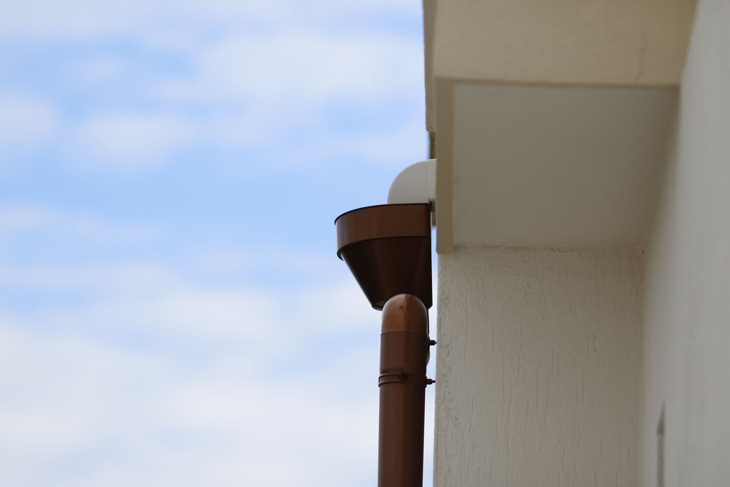 Canon 7D II- 135, F.2 L USM