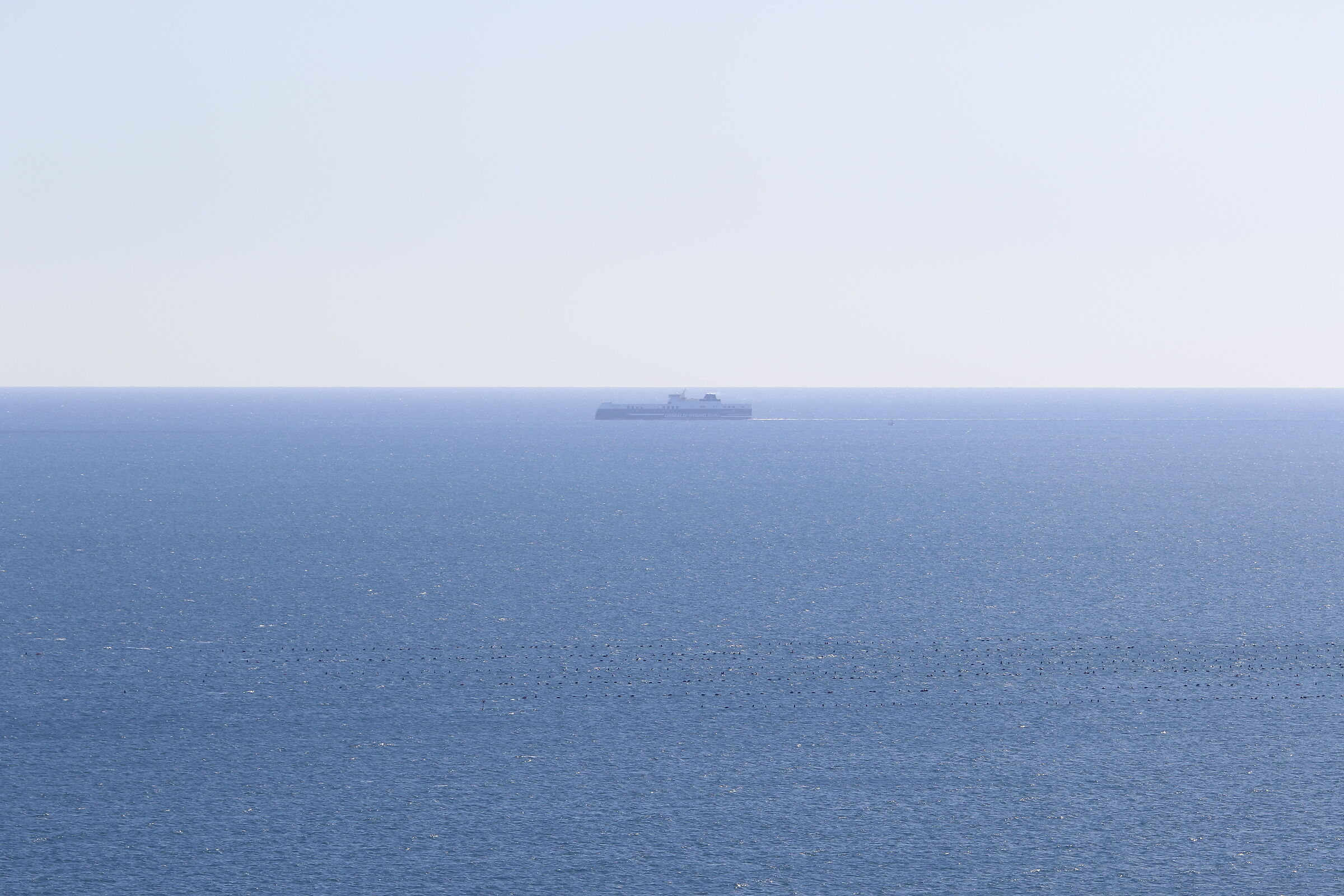 Canon 7D II- 123, F.2 L USM