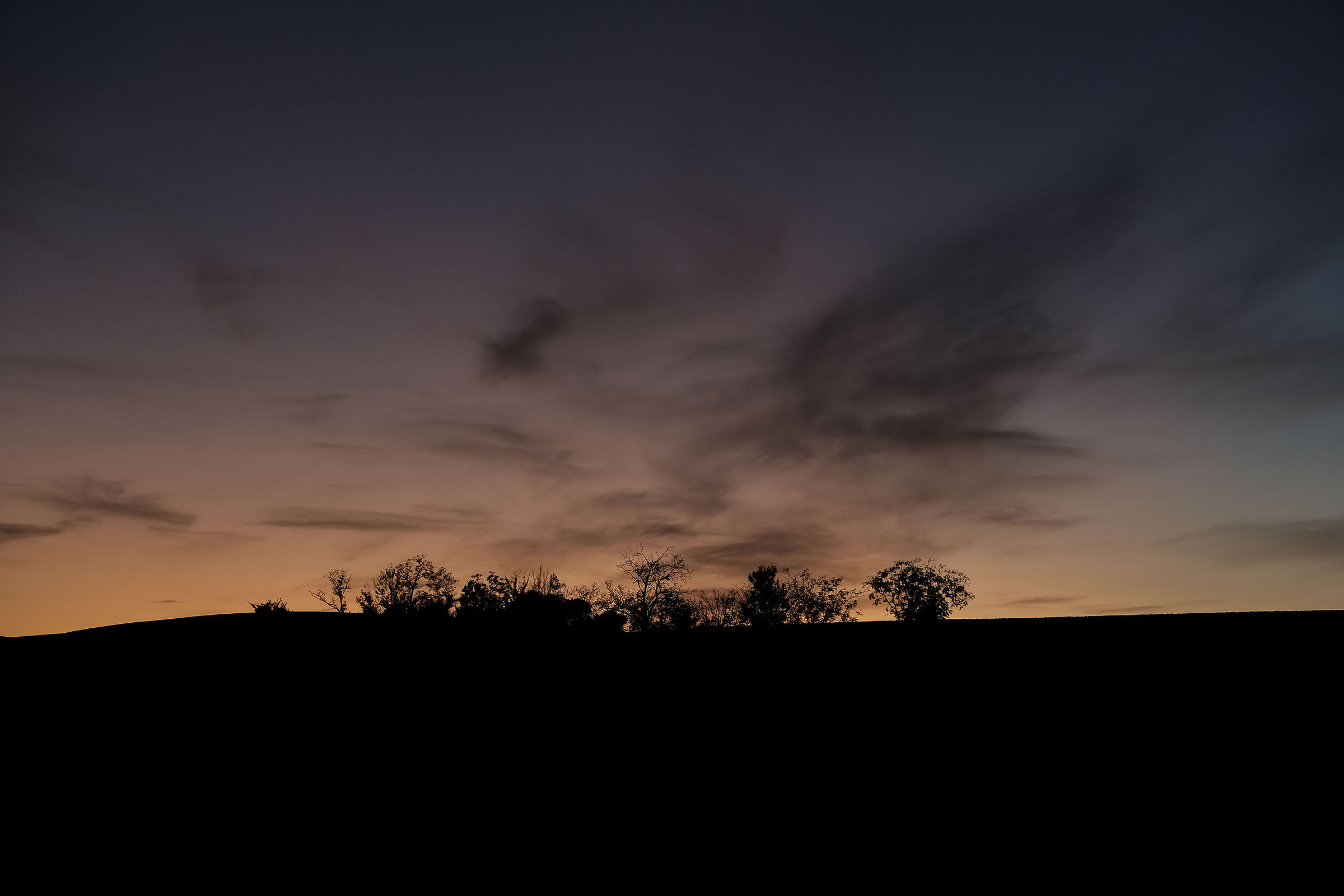 2D landscape