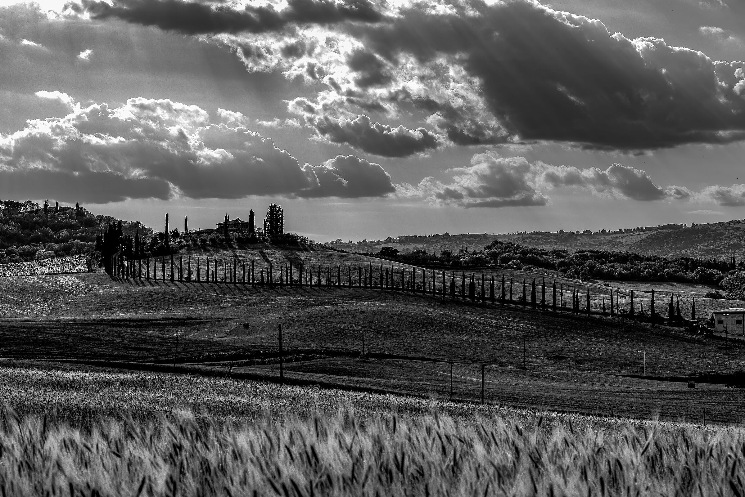 estate 2021 val d'orcia