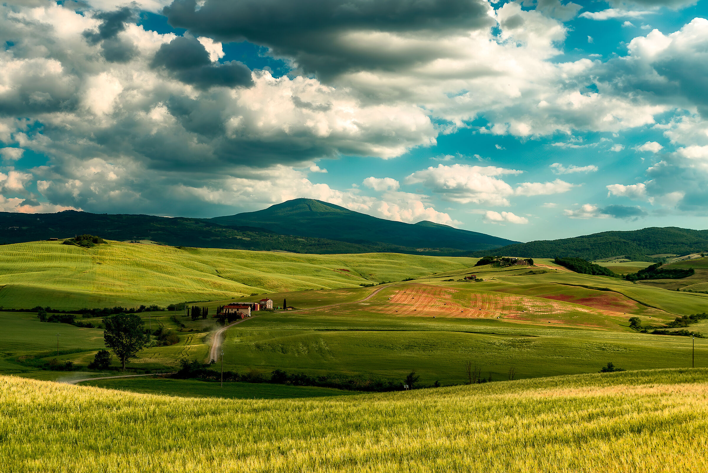 estate 2021 val d'orcia n.2