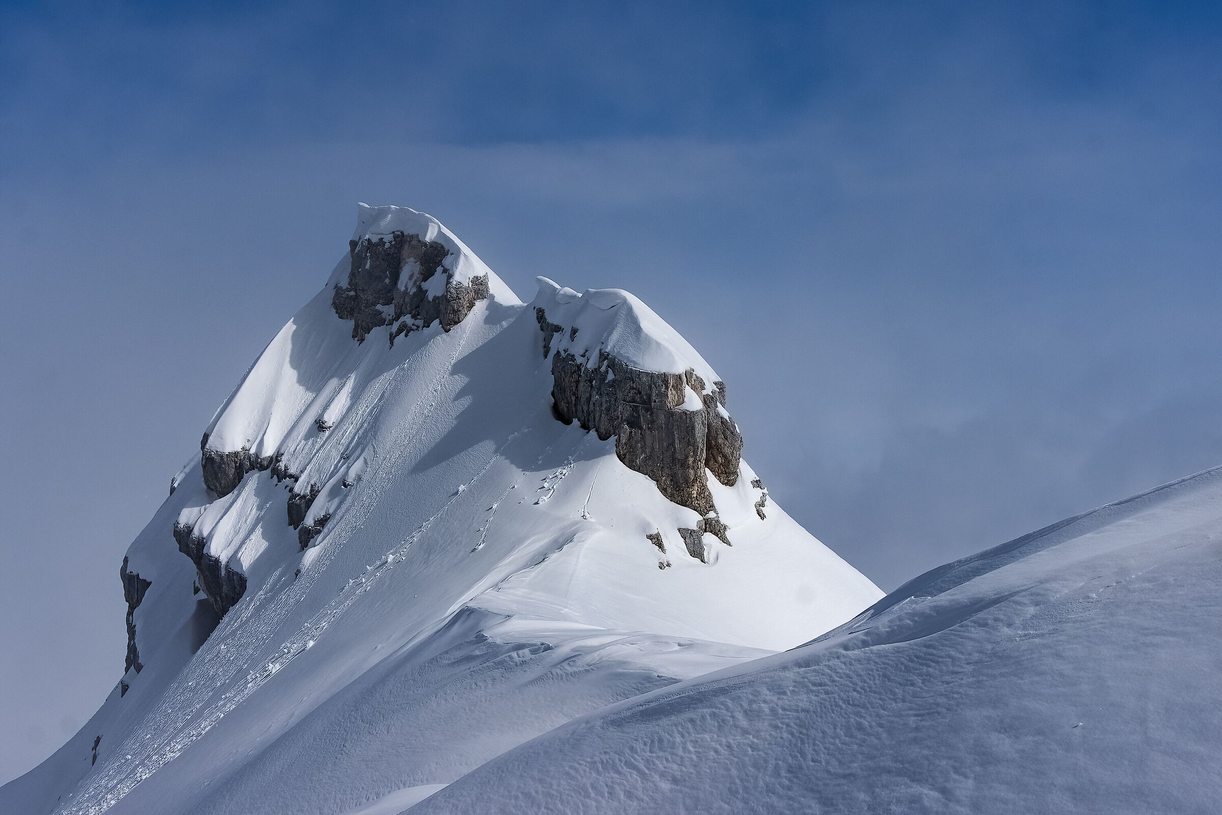 Saddle Ursic Canin group