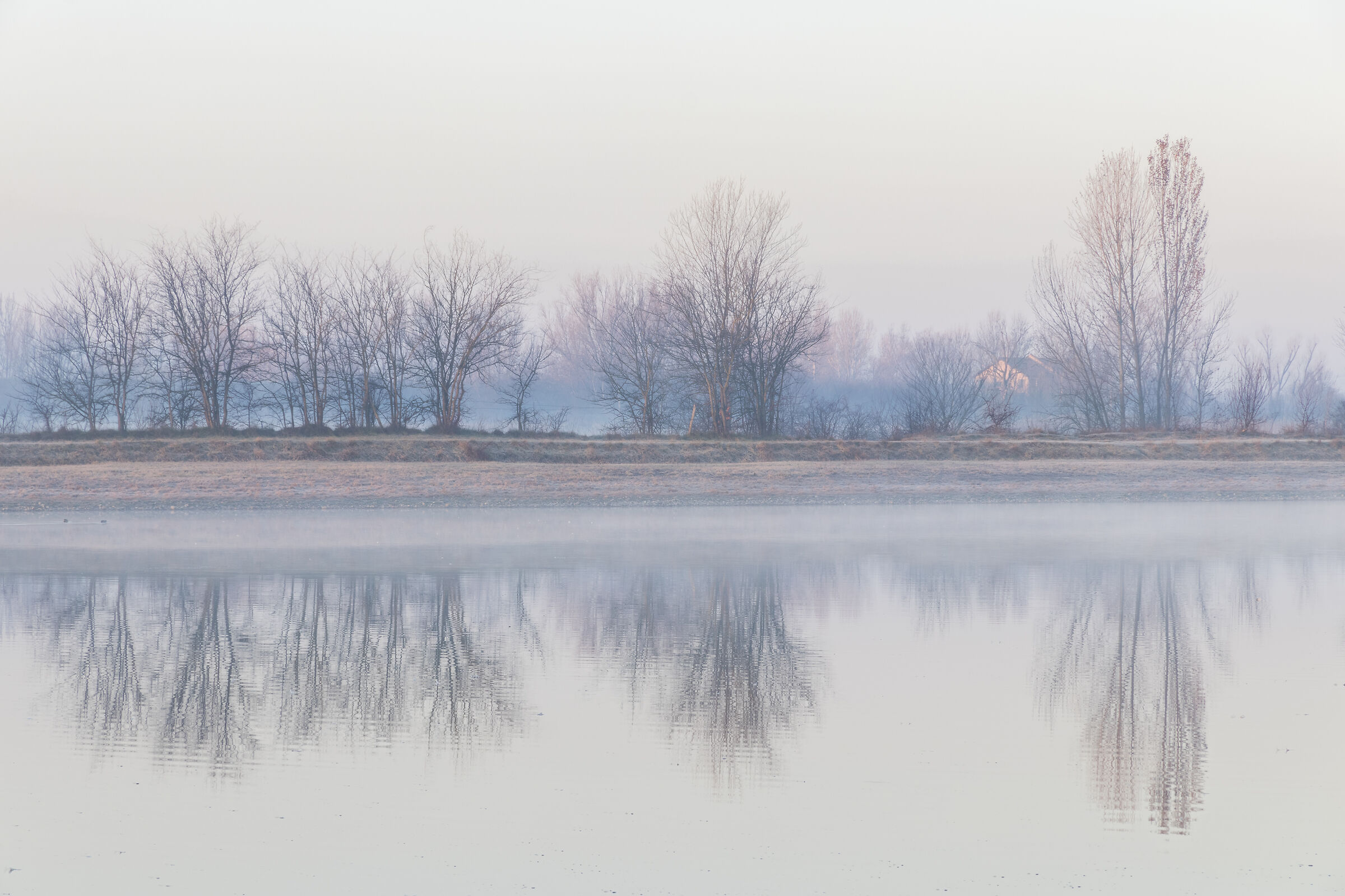 Scampoli di luce invernale