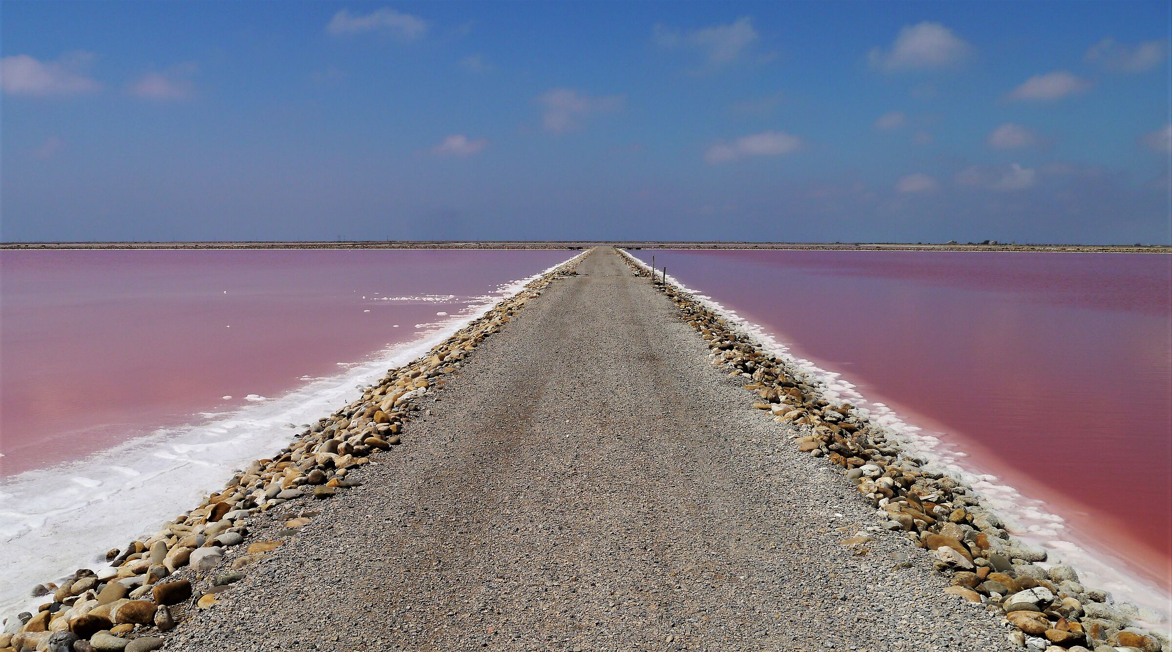 tra sale e cielo in Camargue