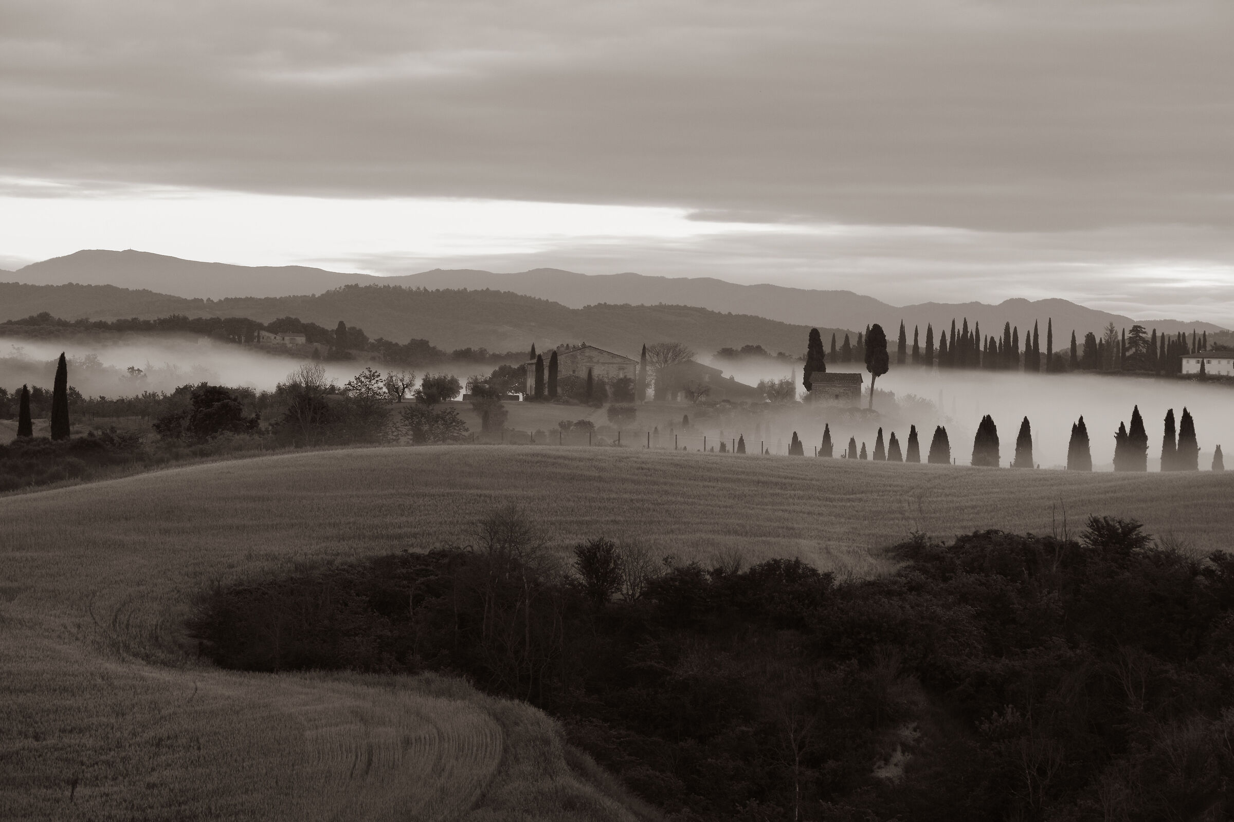 The Crete Senesi