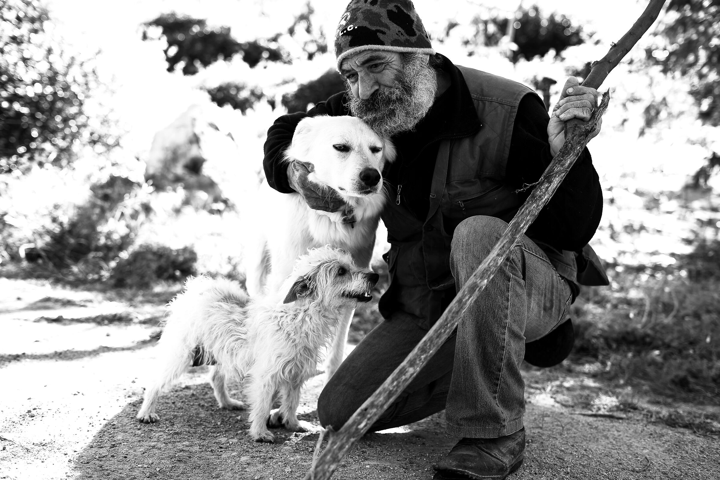 Giorsanto with his two shepherd dogs