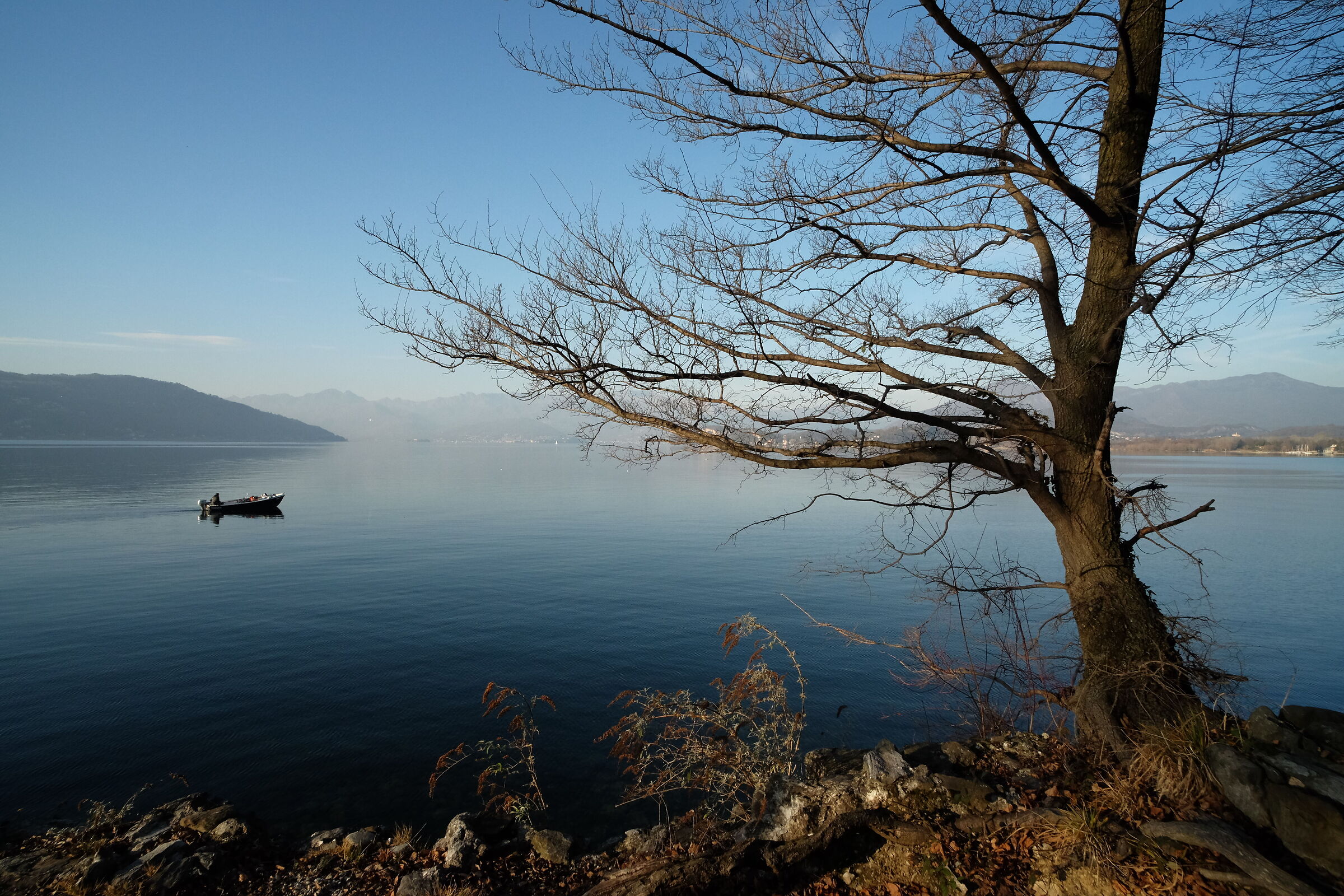 Lake peace.