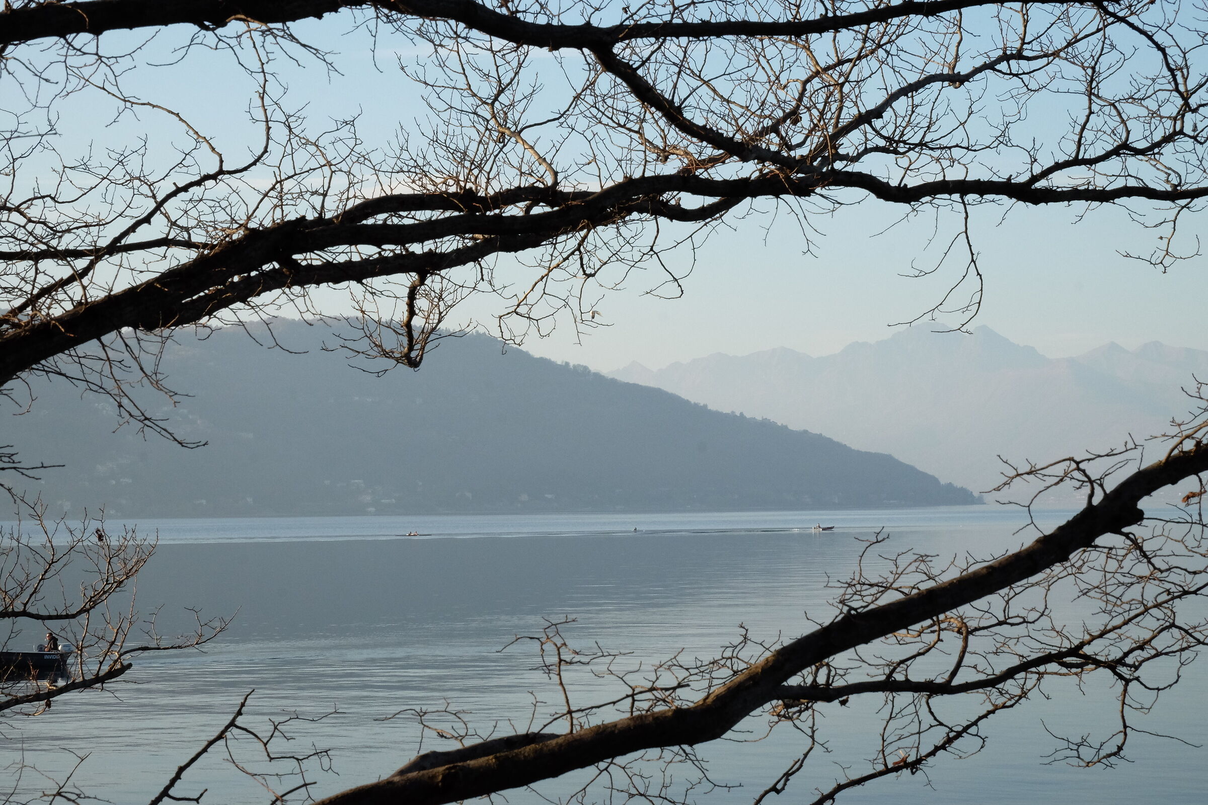 Untitled Photo