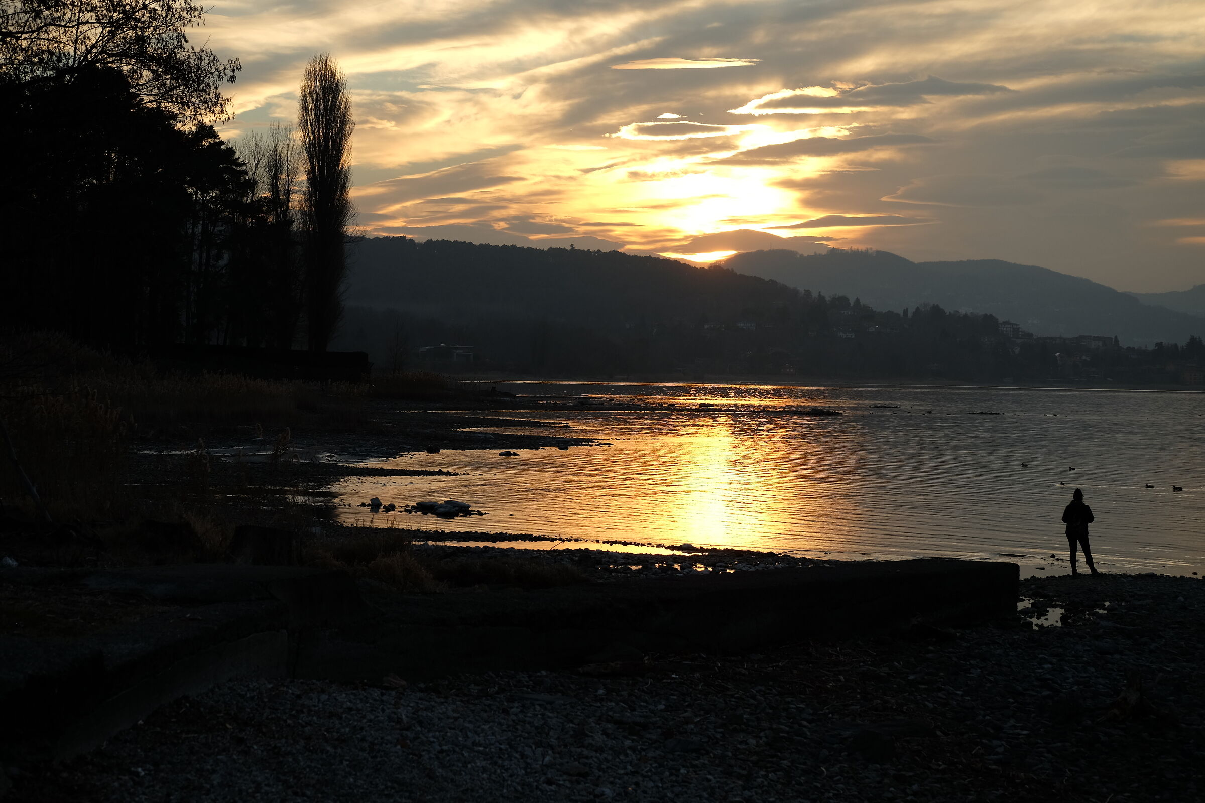 Untitled Photo