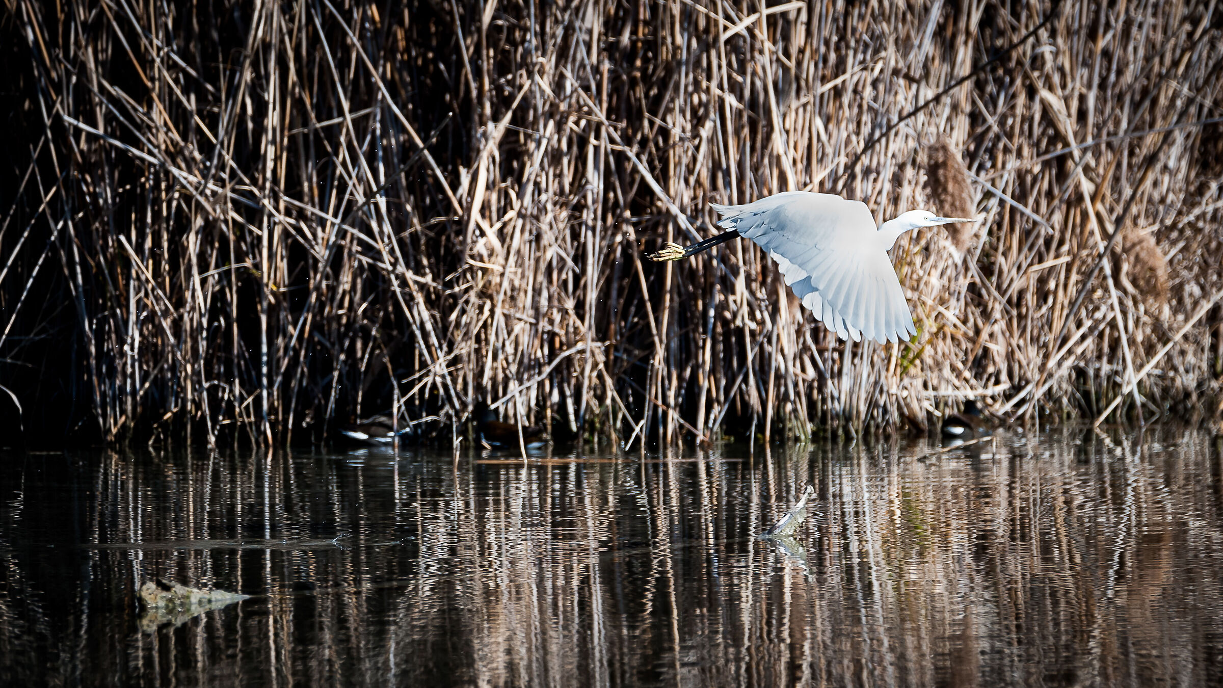 Pronti al decollo...