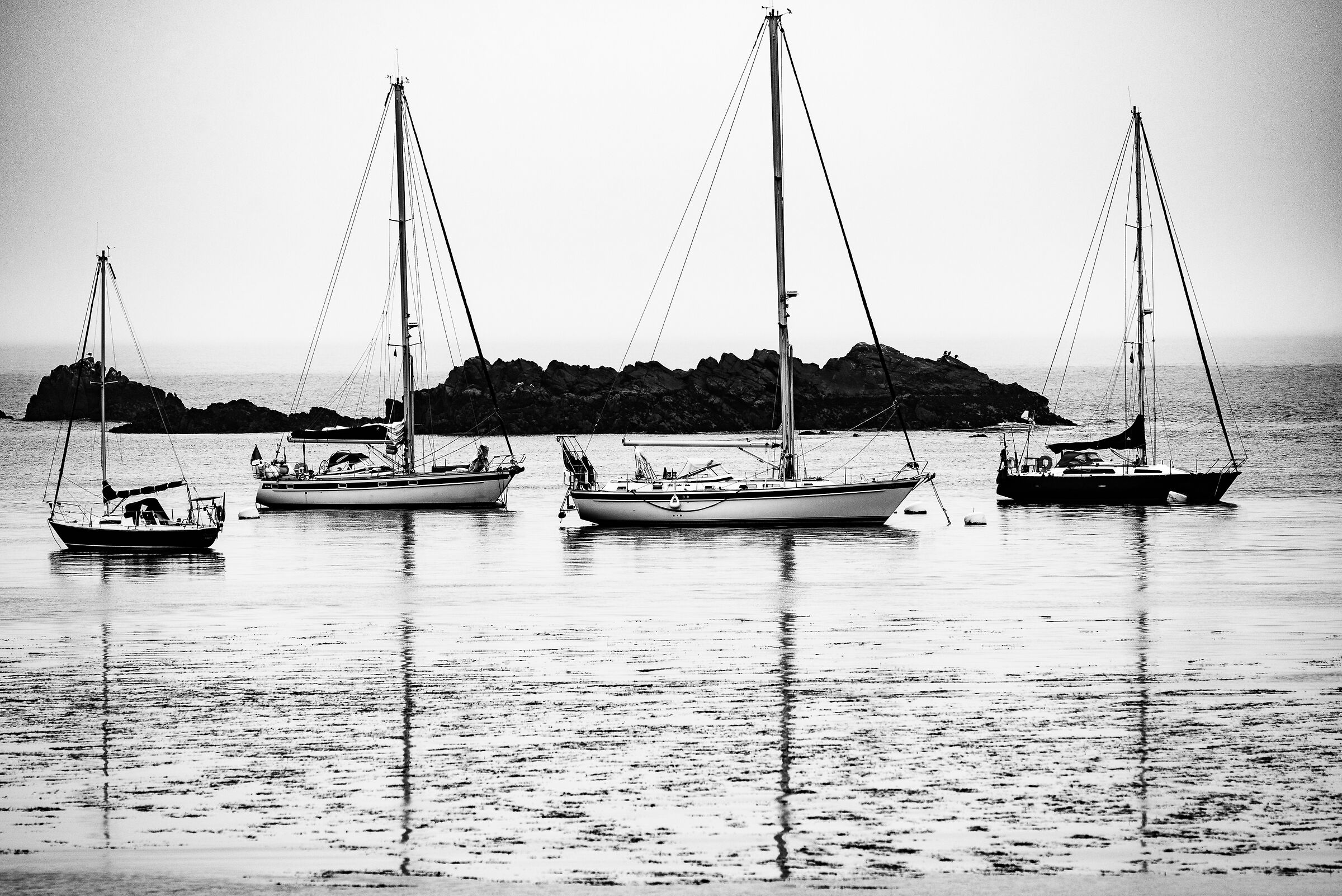 Reflections trees Scilly bn