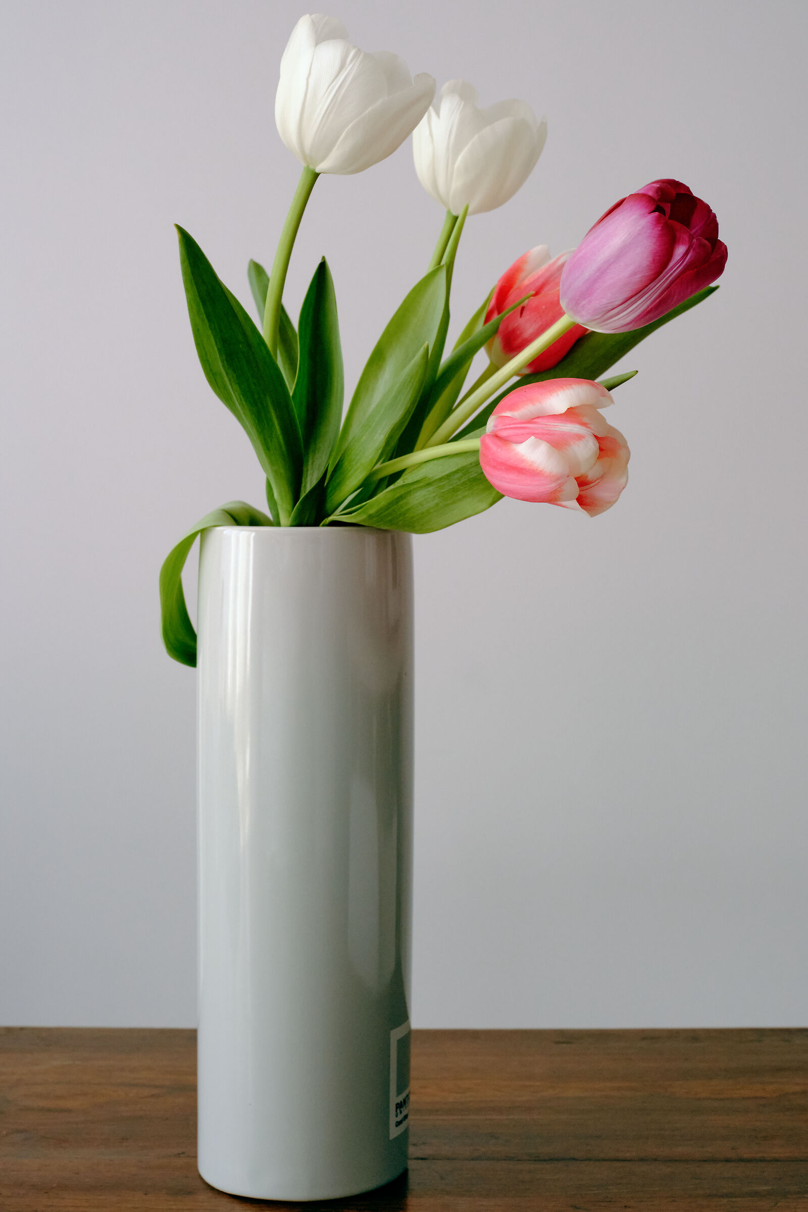 Markii Tulips