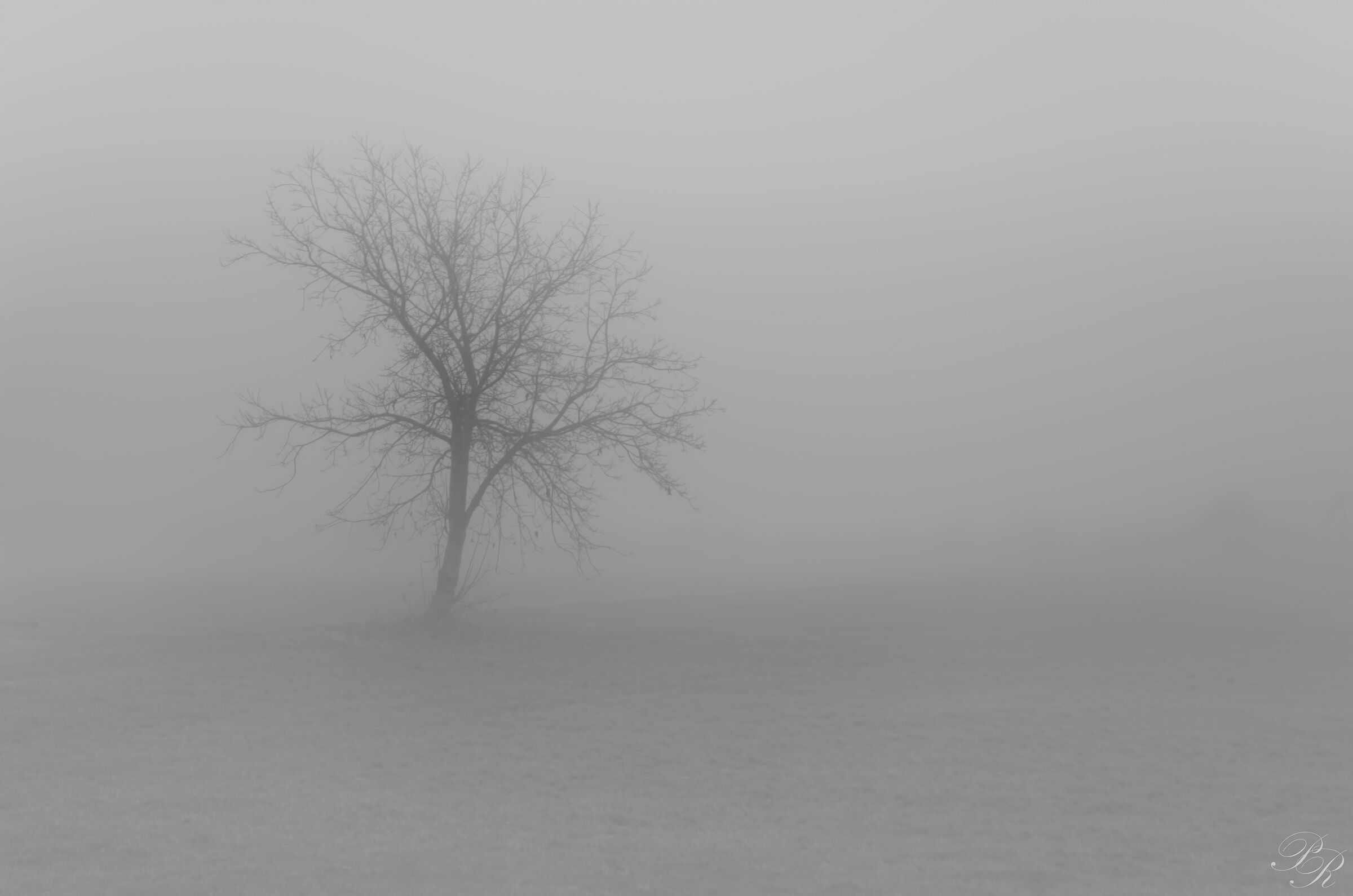 Melancholic loneliness