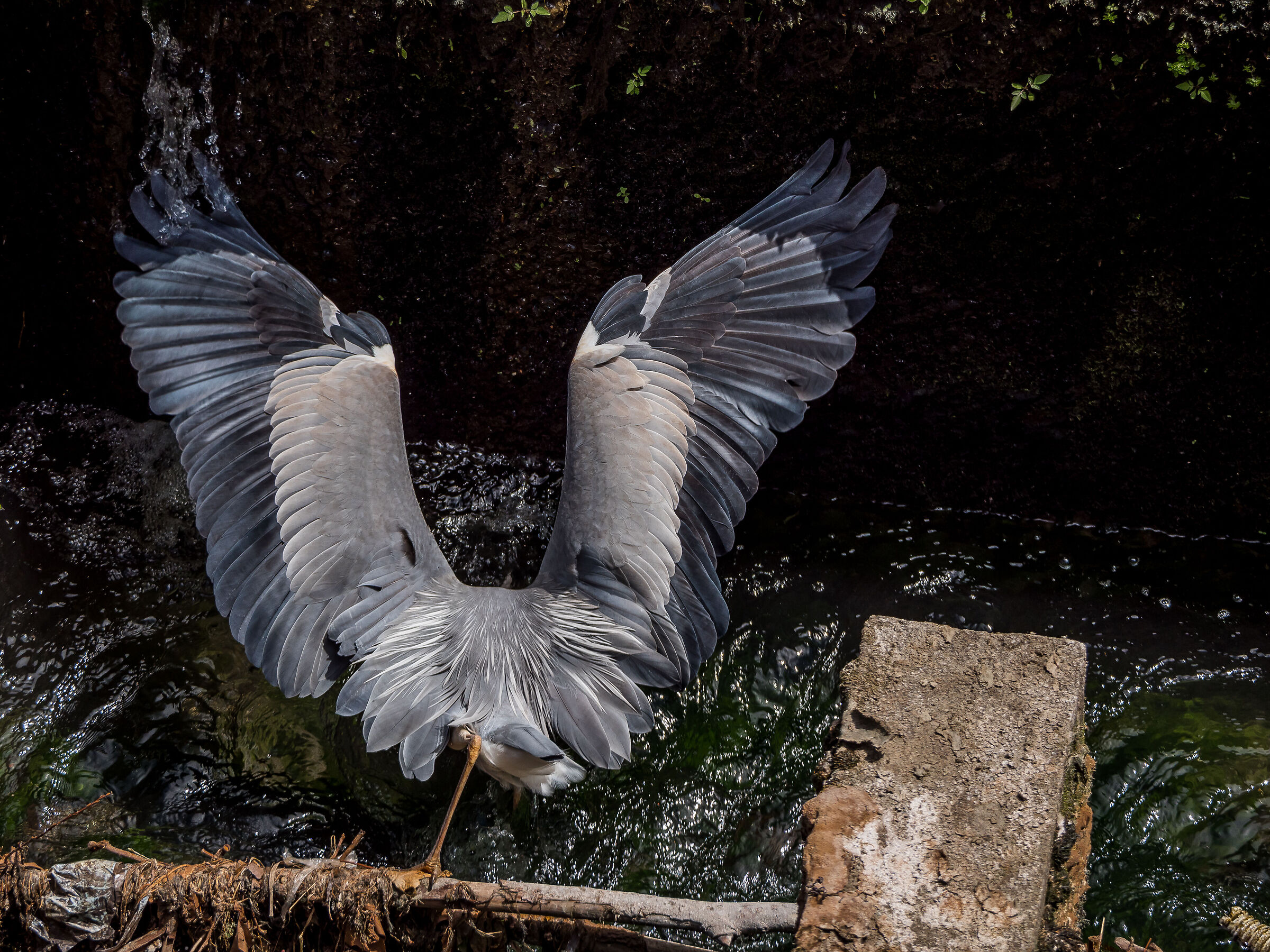 I lost my mind......