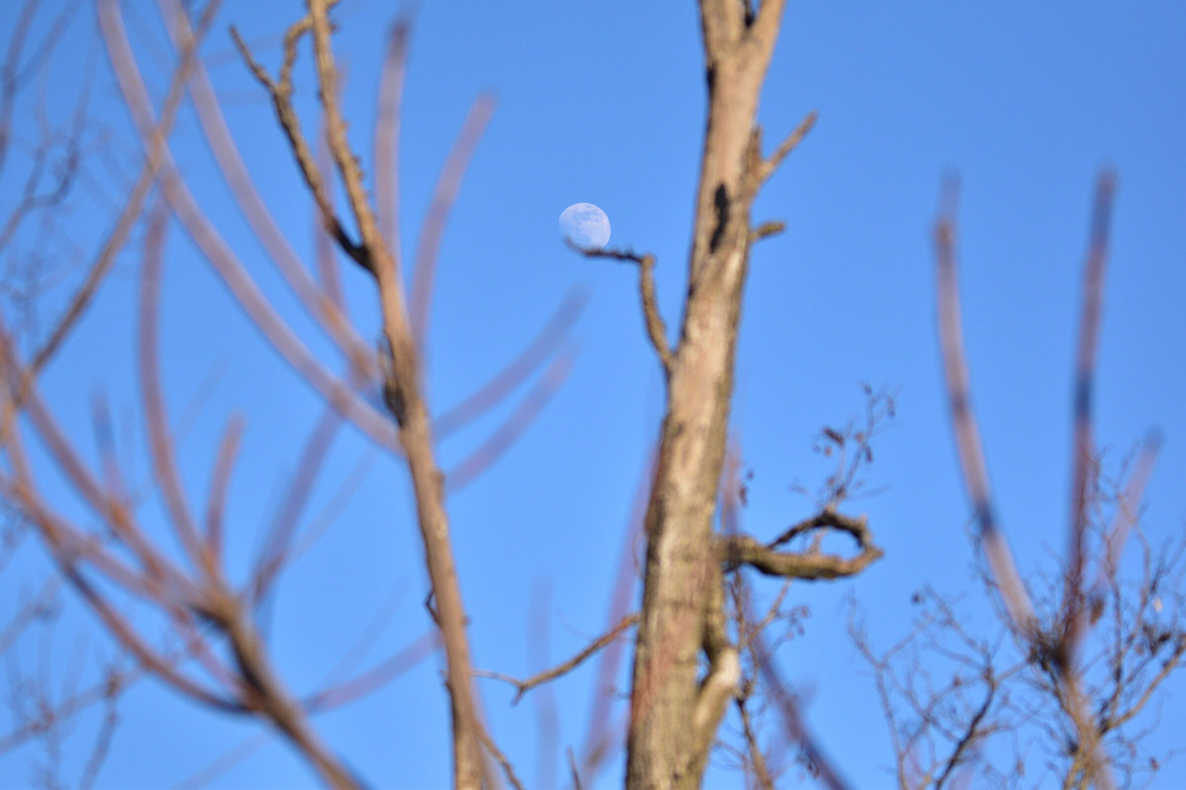 Non si può stare sempre sospesi!!!