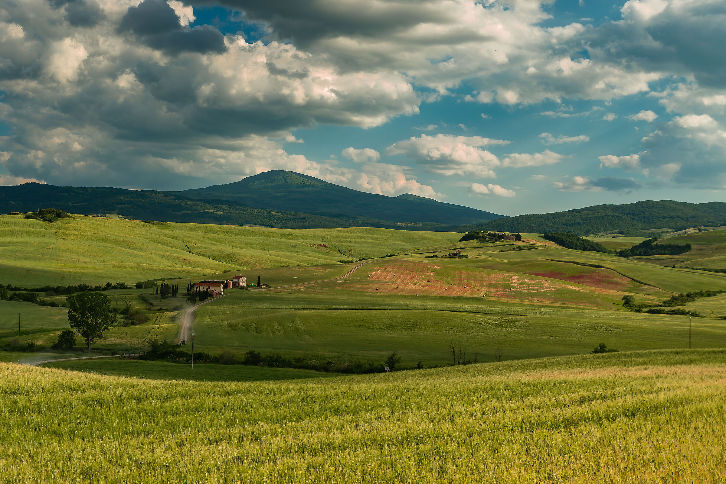 estate 2021 val d'orcia n.2bis( meno corrotta)