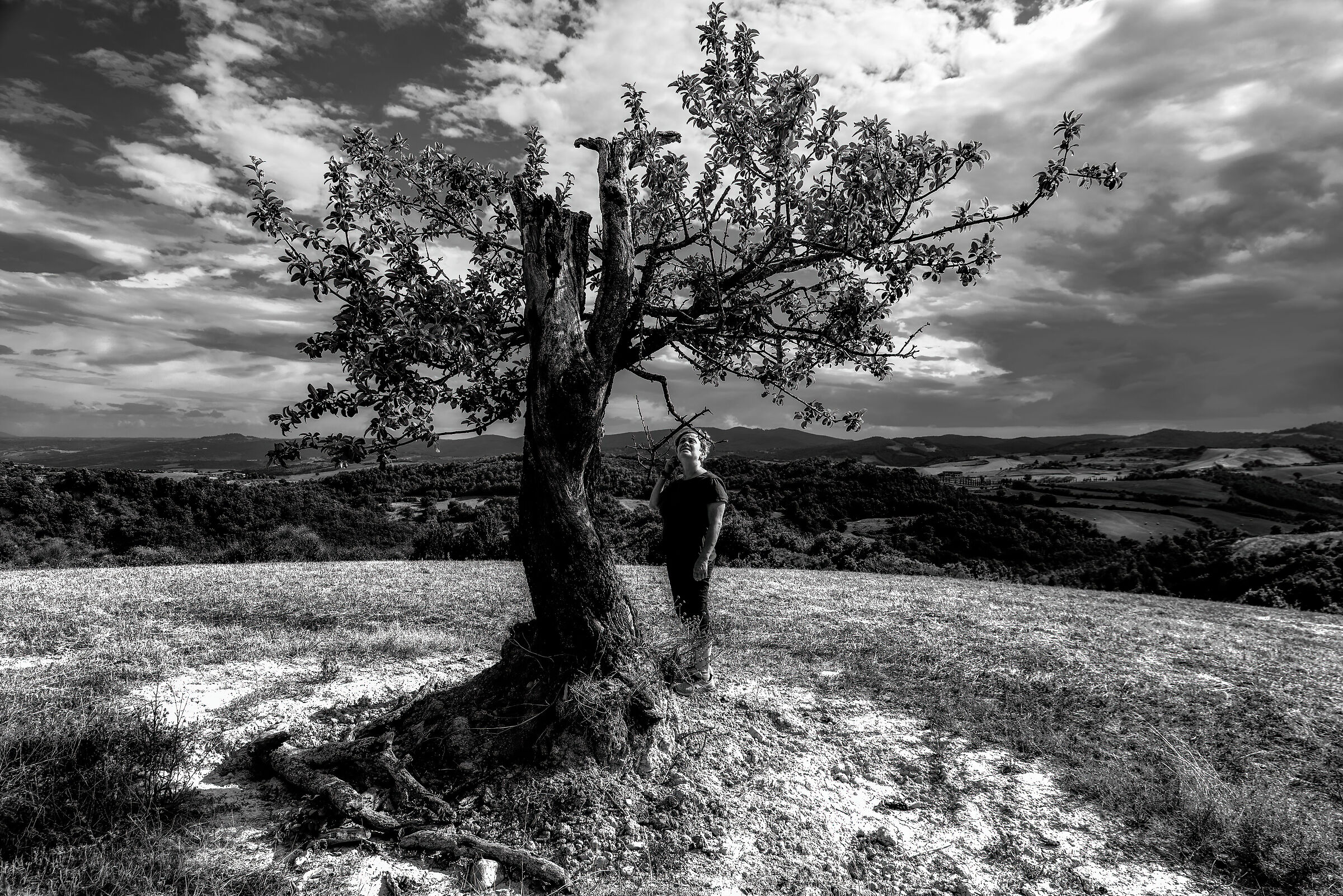 l'albero e la ..donna