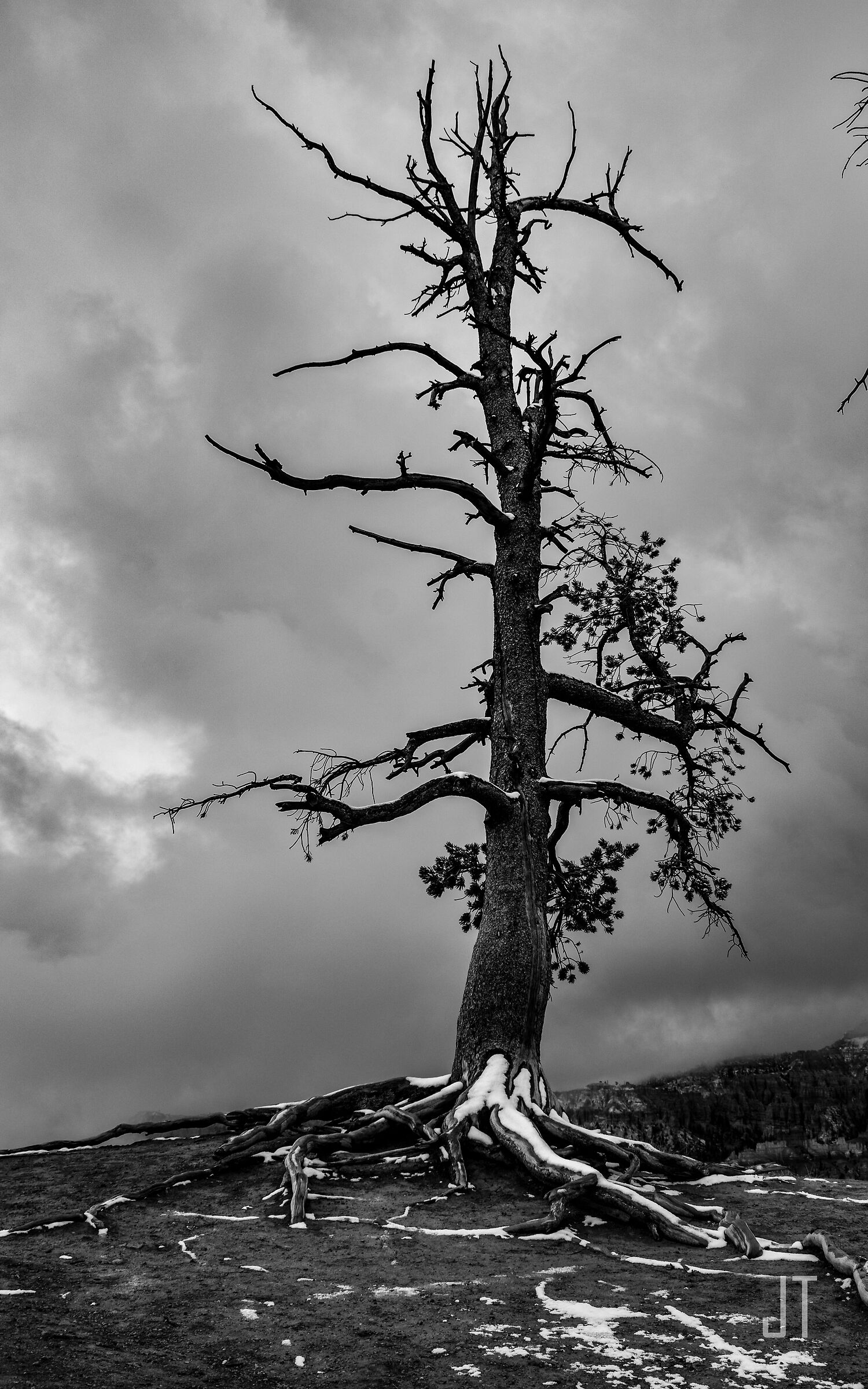 Svettante verso il cielo