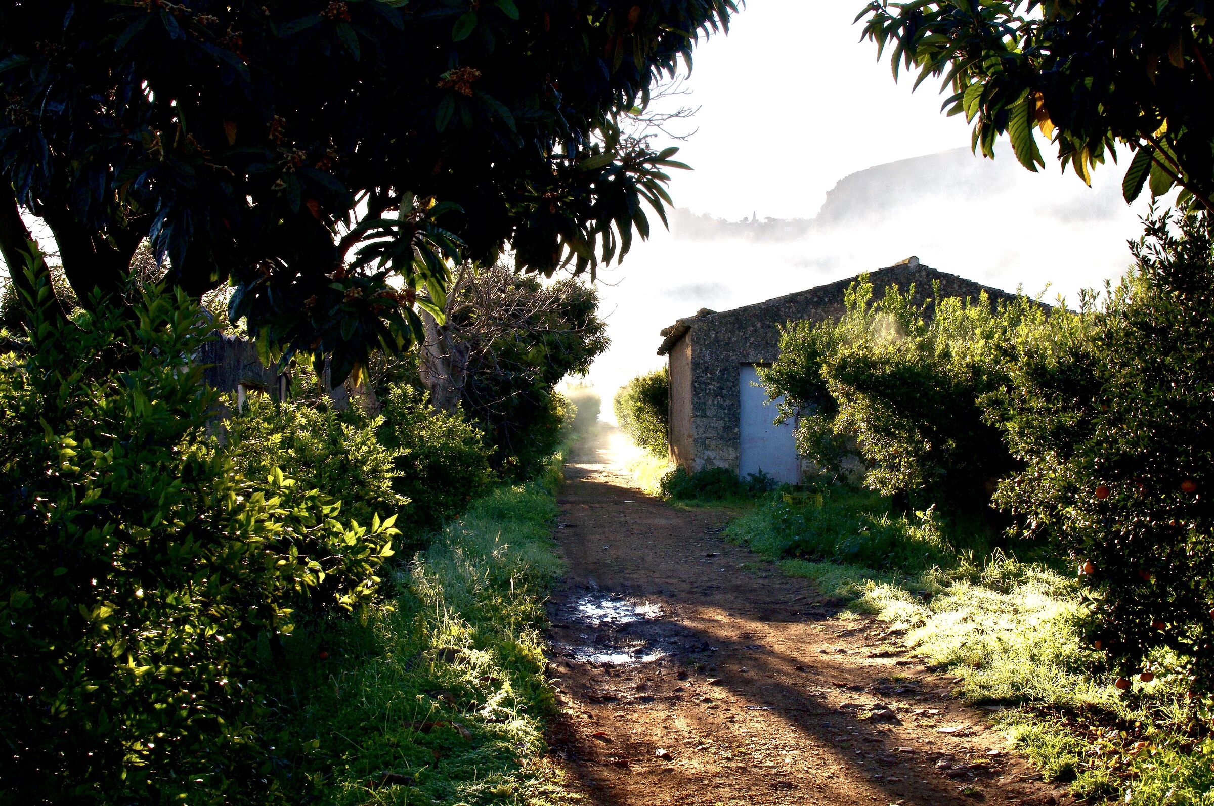 Il risveglio della Campagna