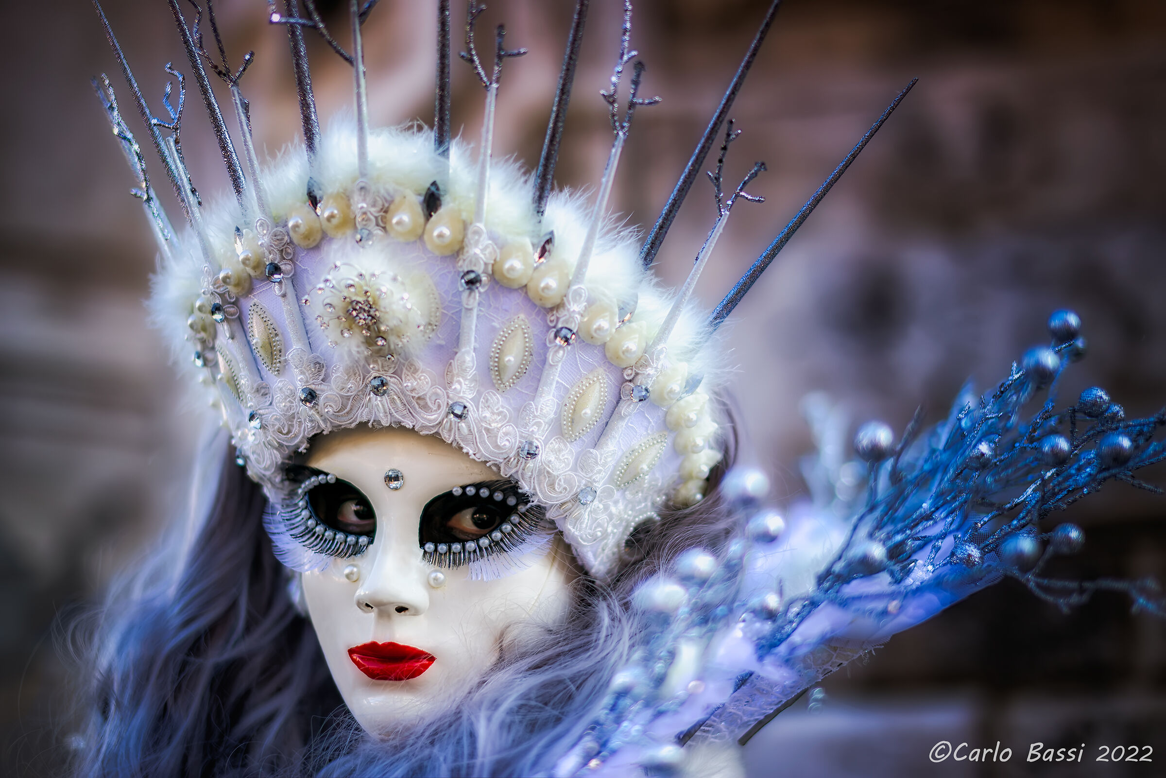 The Fairy of the Carnival