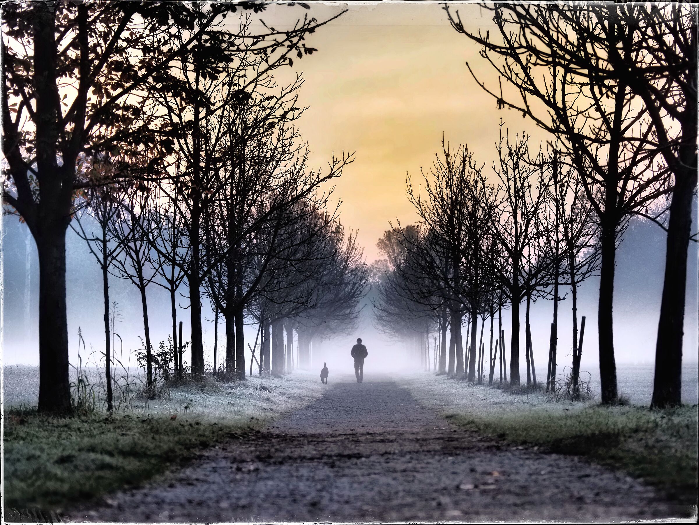 Early in the morning