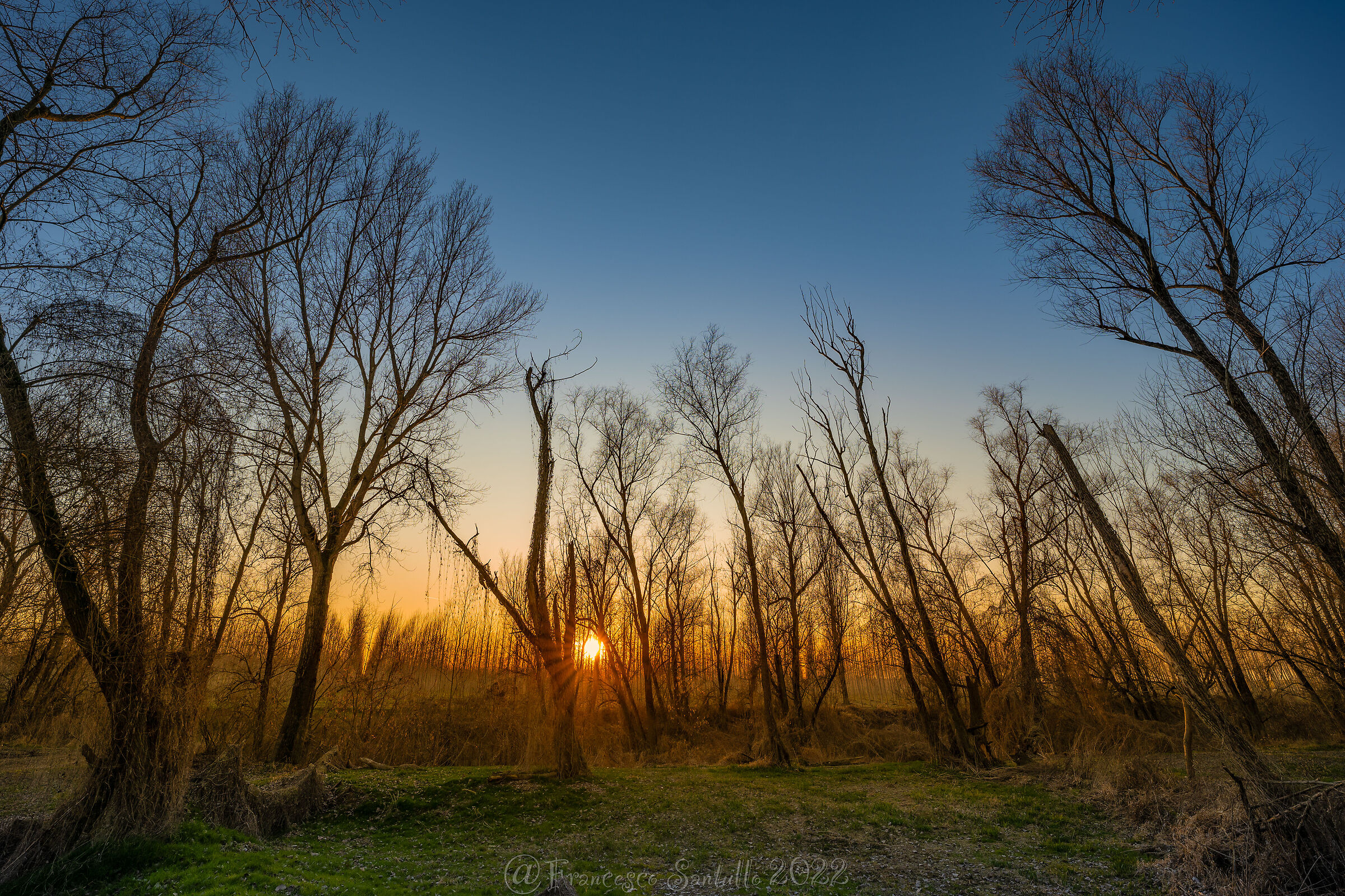 The Visions of Nature!