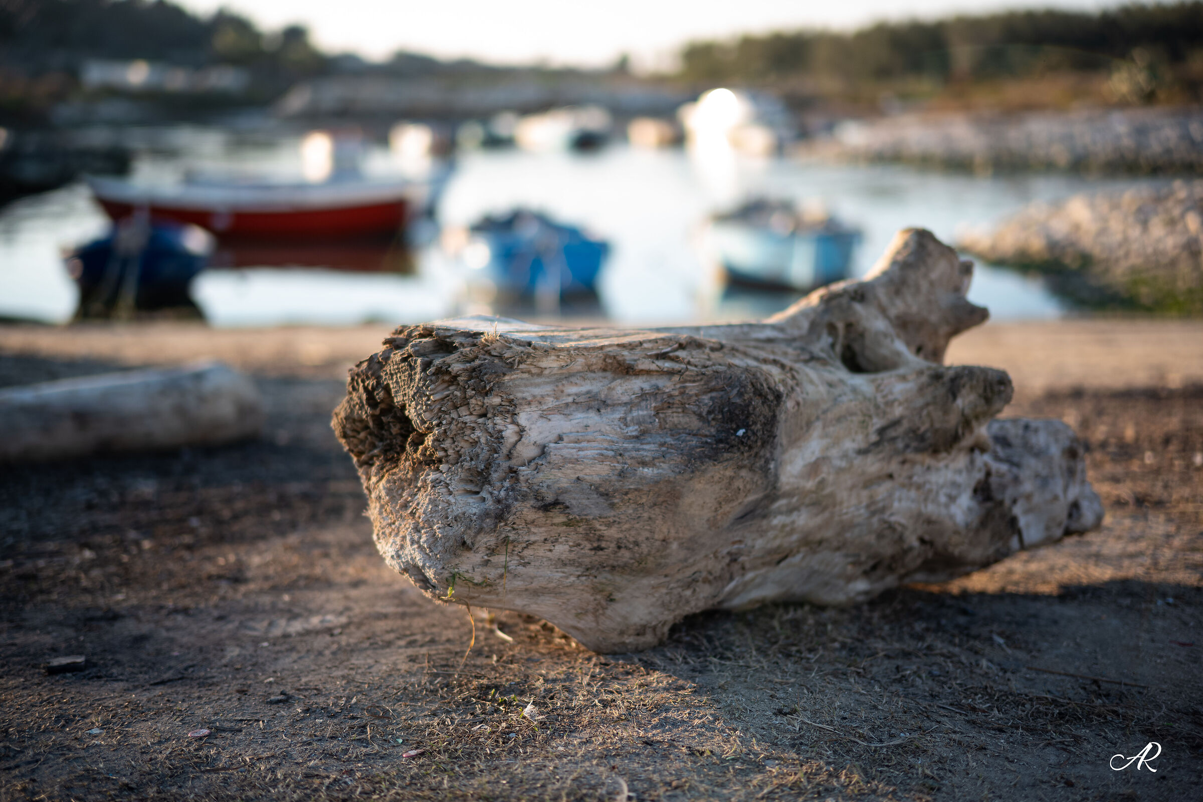 Gli scarti del mare