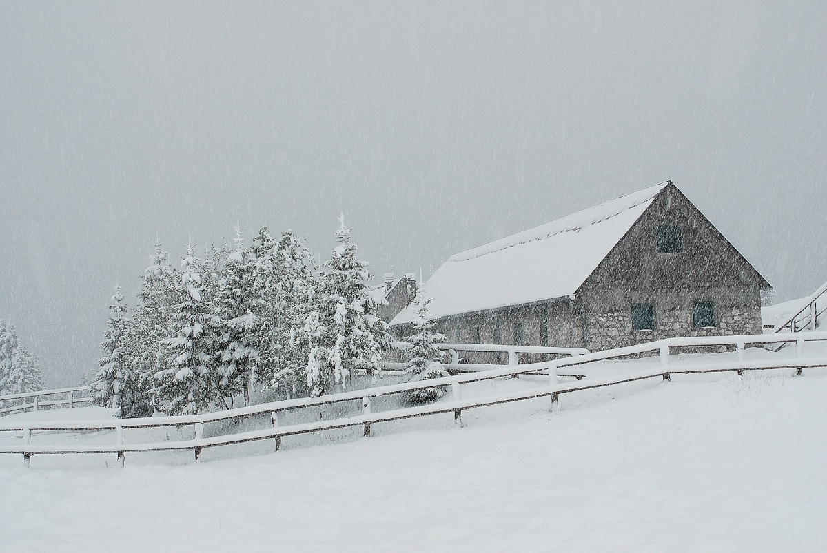 Ultima neve - Piani del Montasio Tarvisio.