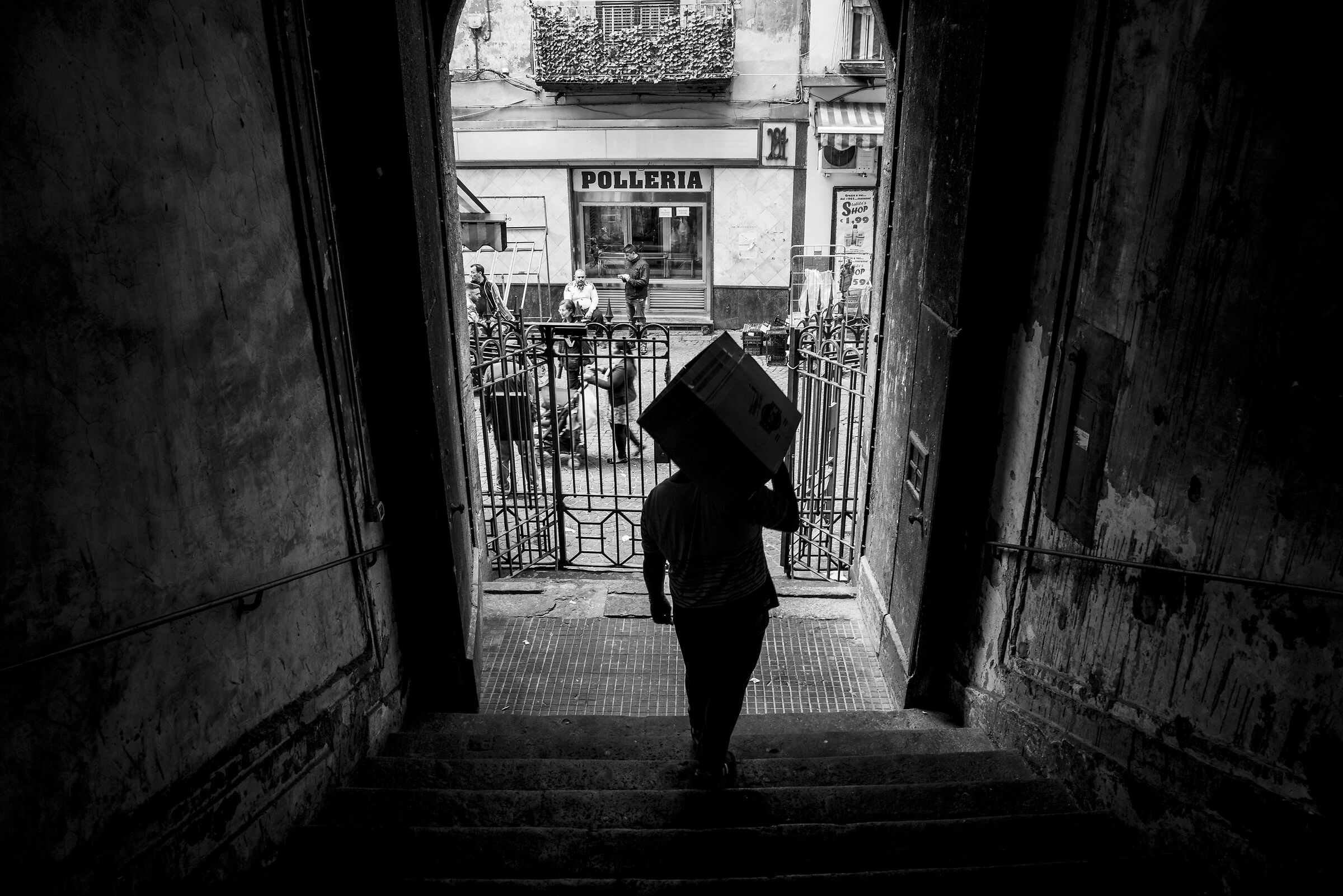 Naples, chicken coop