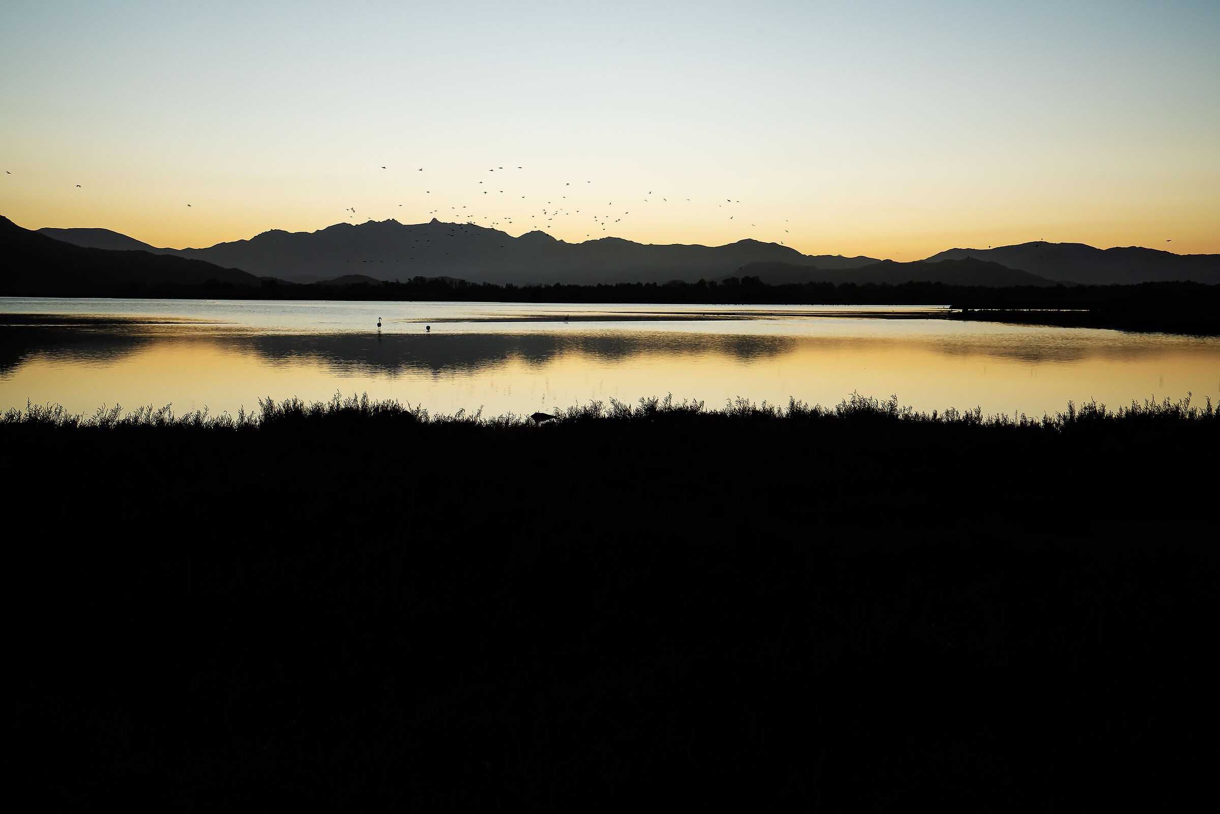 Colostrai al tramonto