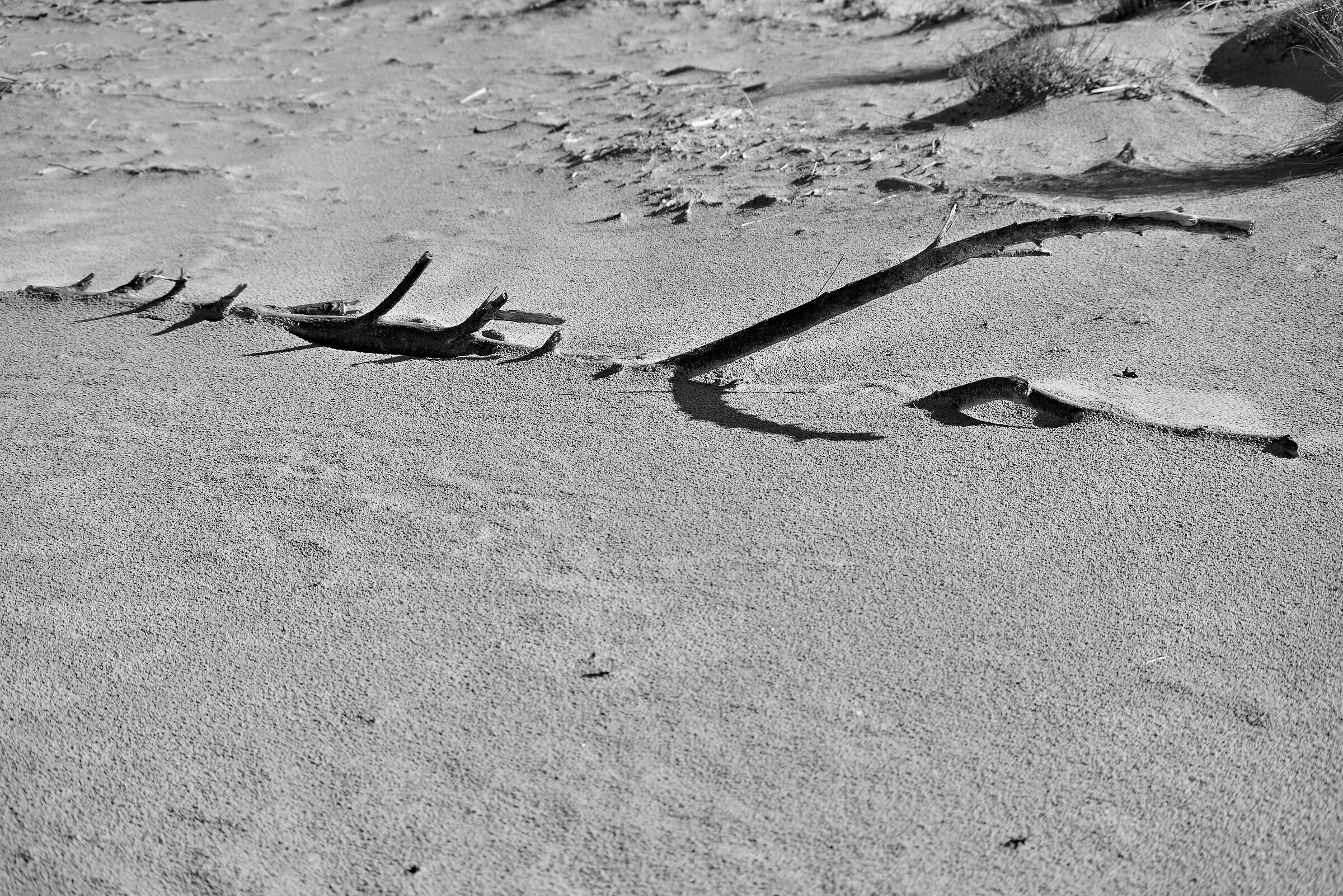 Emersione