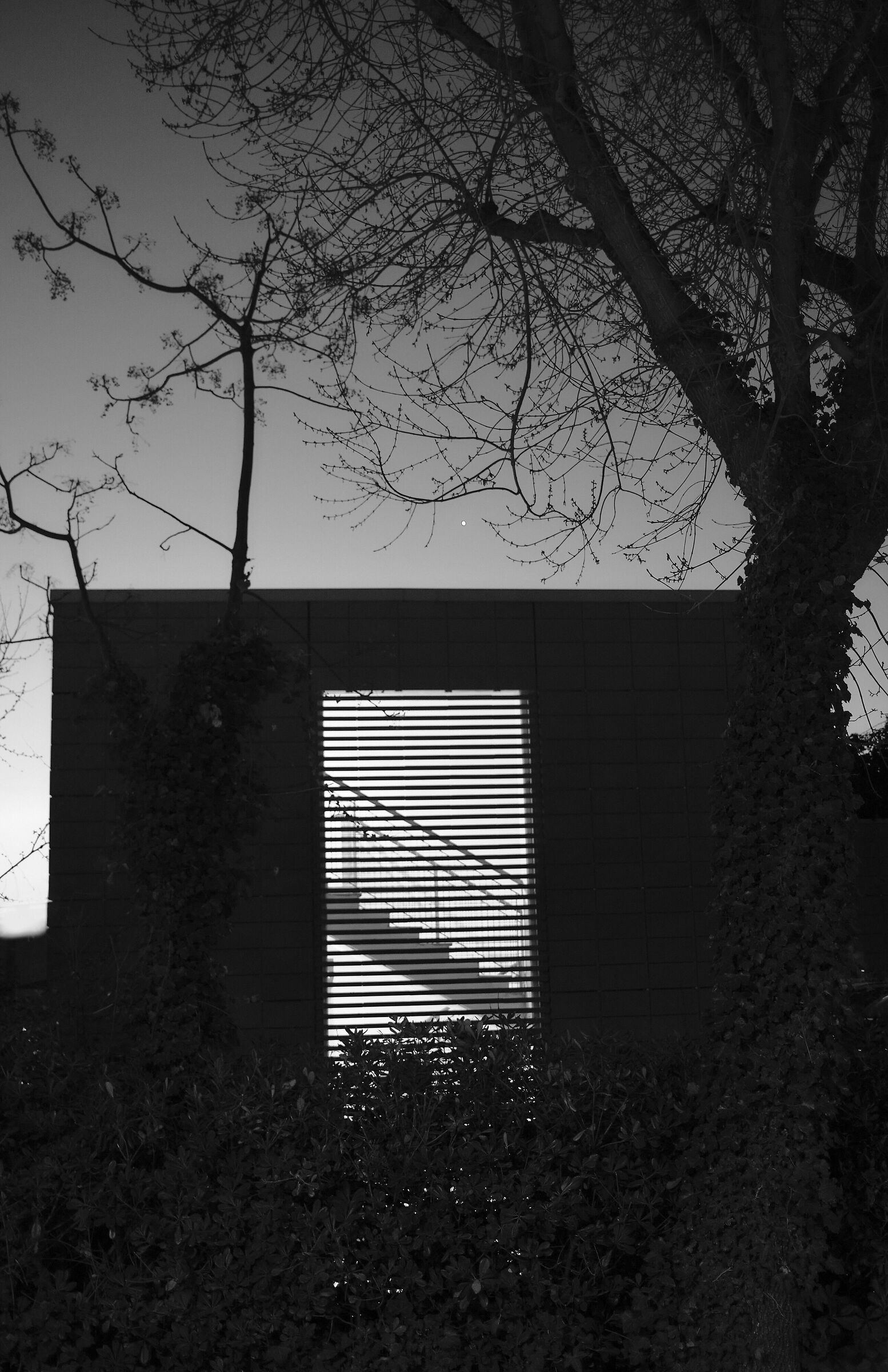 Untitled Photo