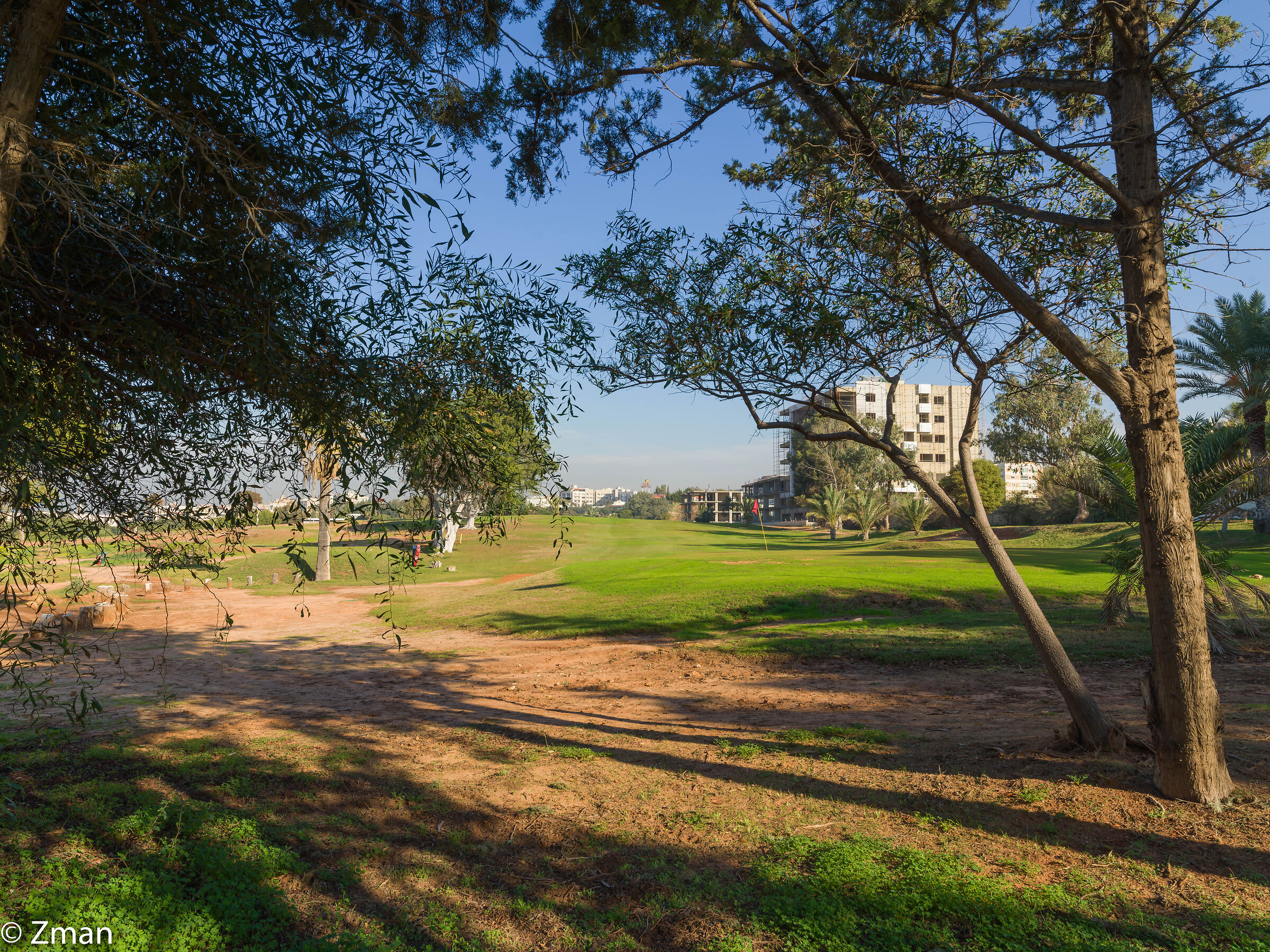 alberi sulla buca n. 11