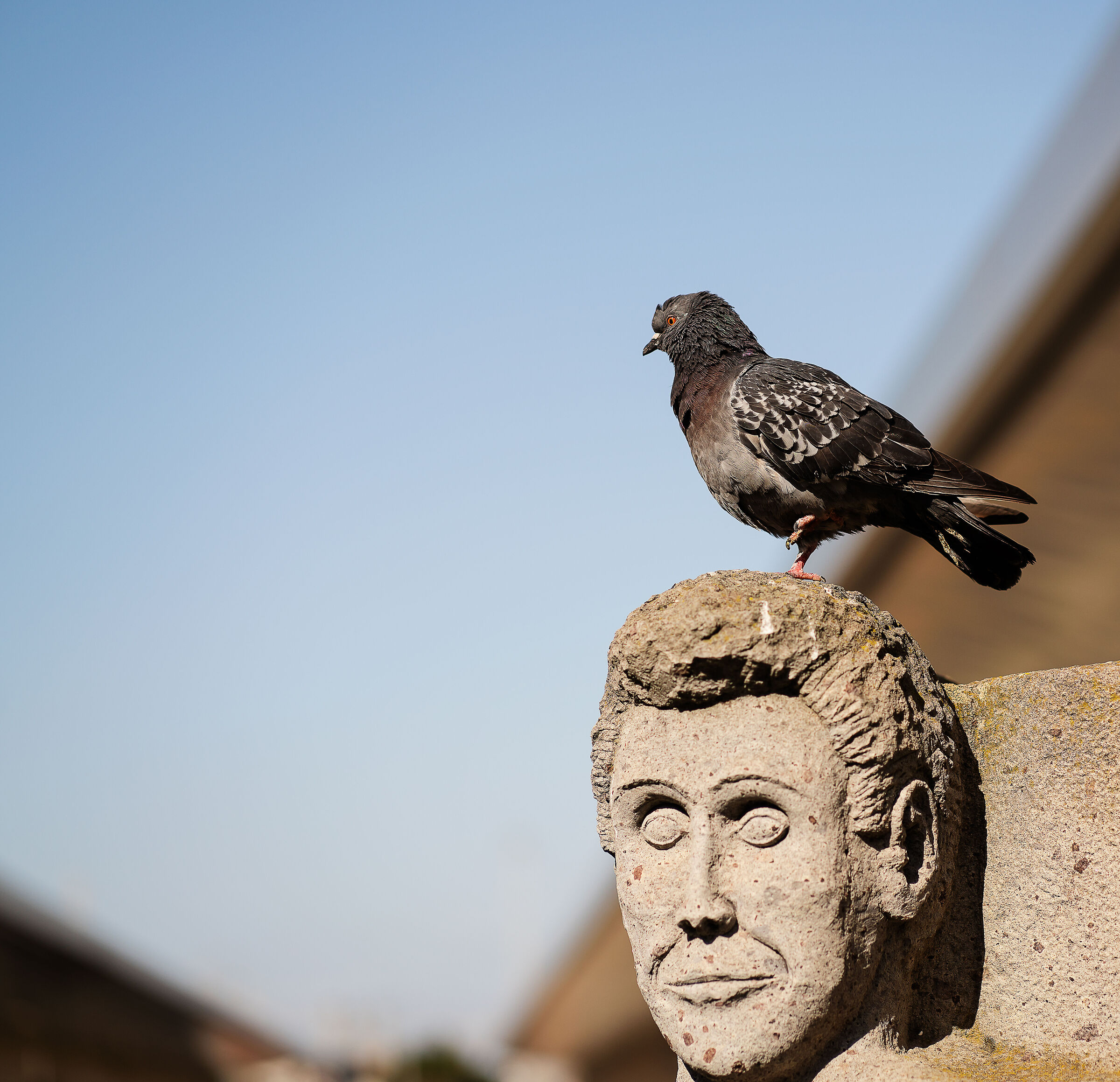 Ringrazia che non mi posso muovere