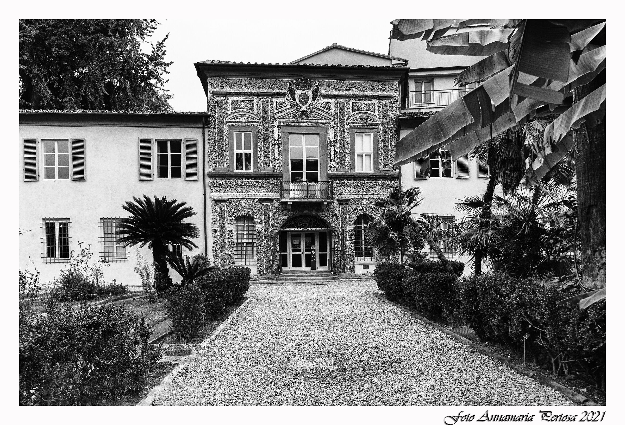 Orto e Museo Botanico a Pisa