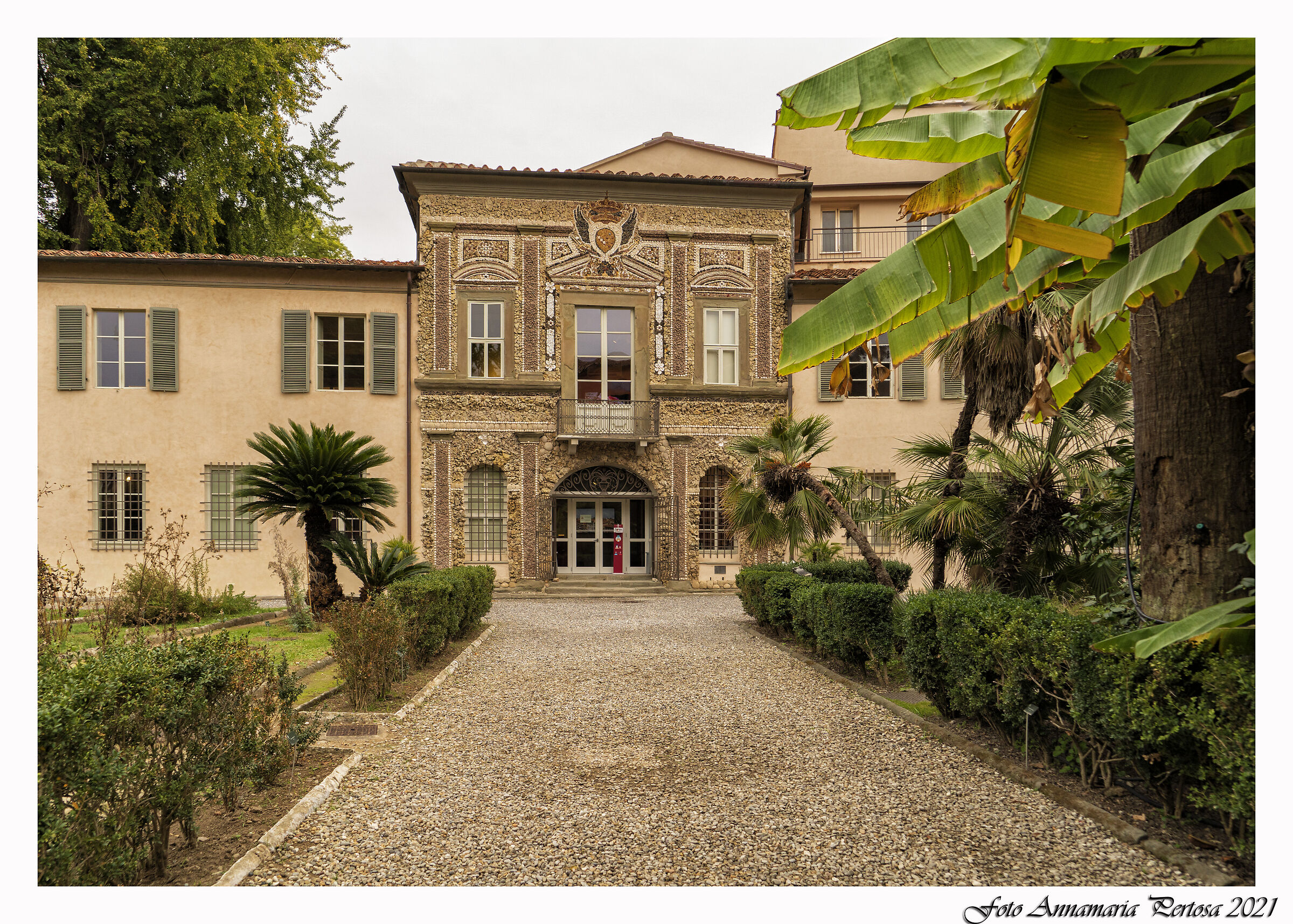 Orto e Museo Botanico a Pisa