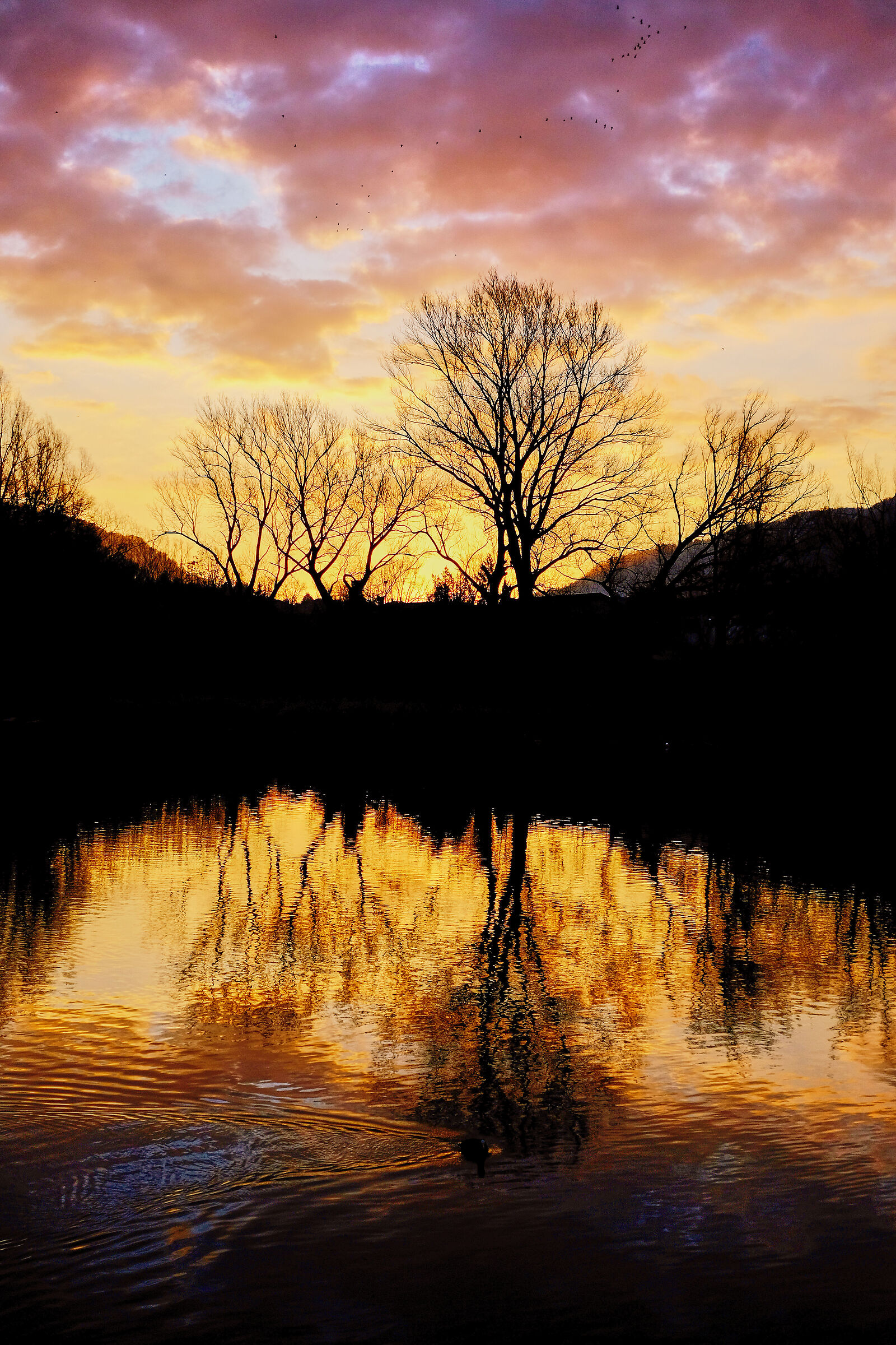 Along the Adda River #18