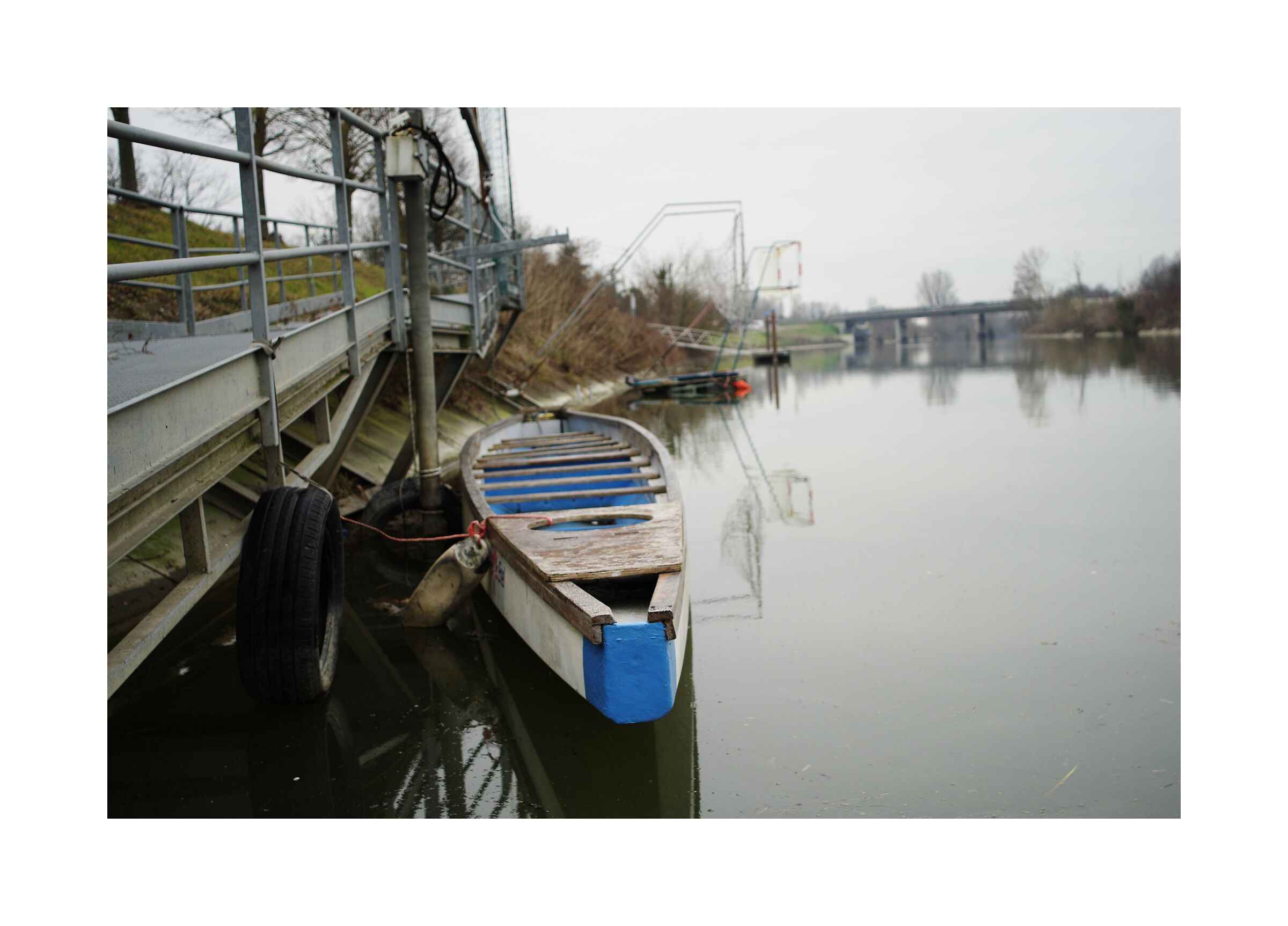 On the banks of the Canal Bianco (Bosaro - RO)