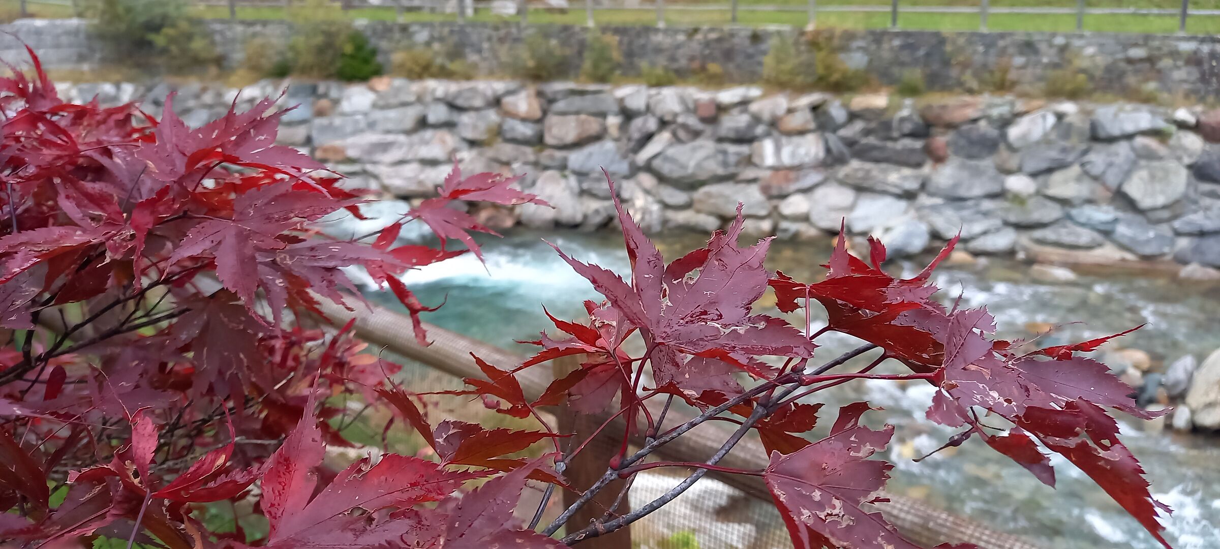 Acero rosso