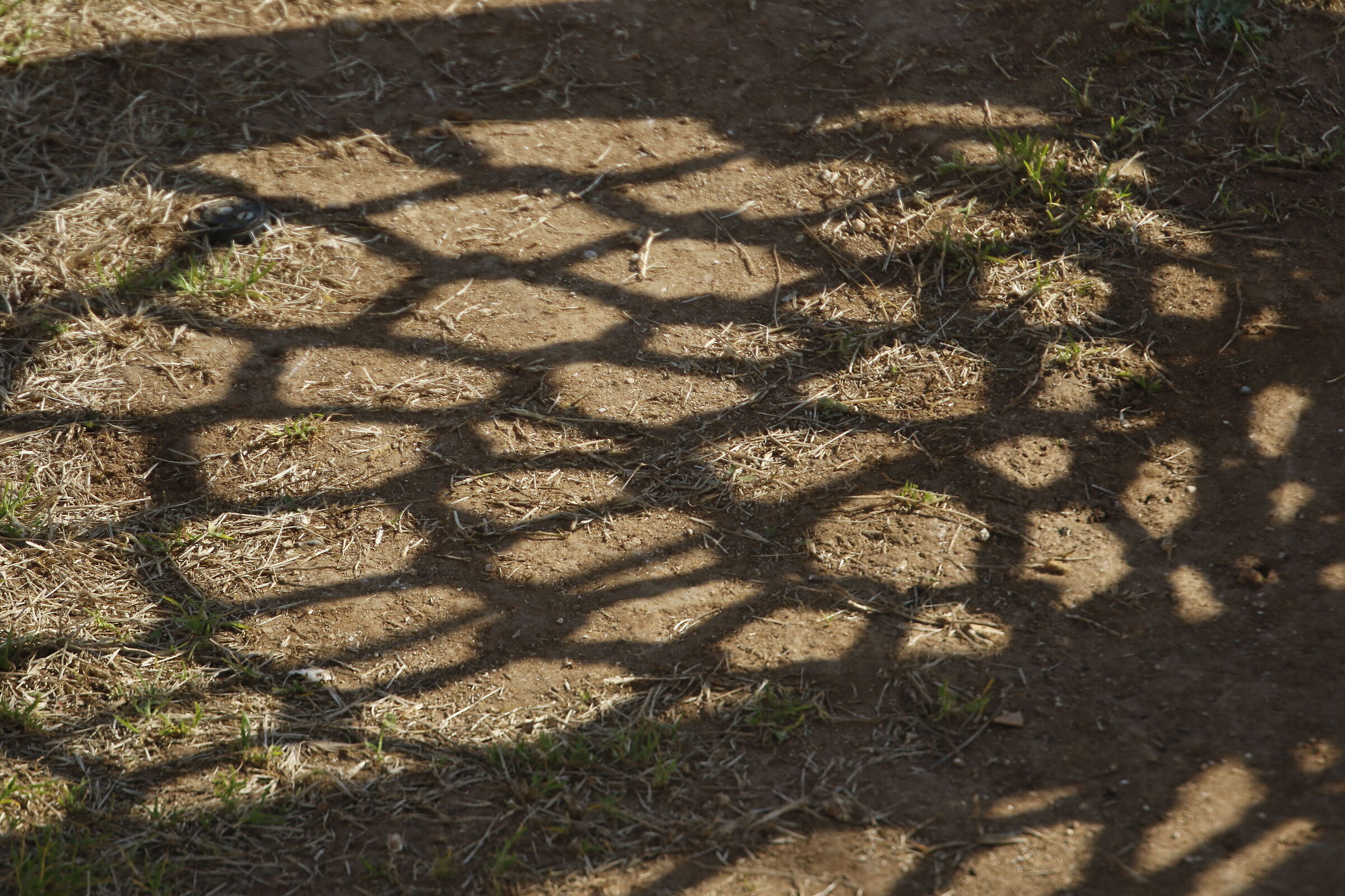 A 300= Crop 480/ Canon 7D II- 70-300 DO IS USM