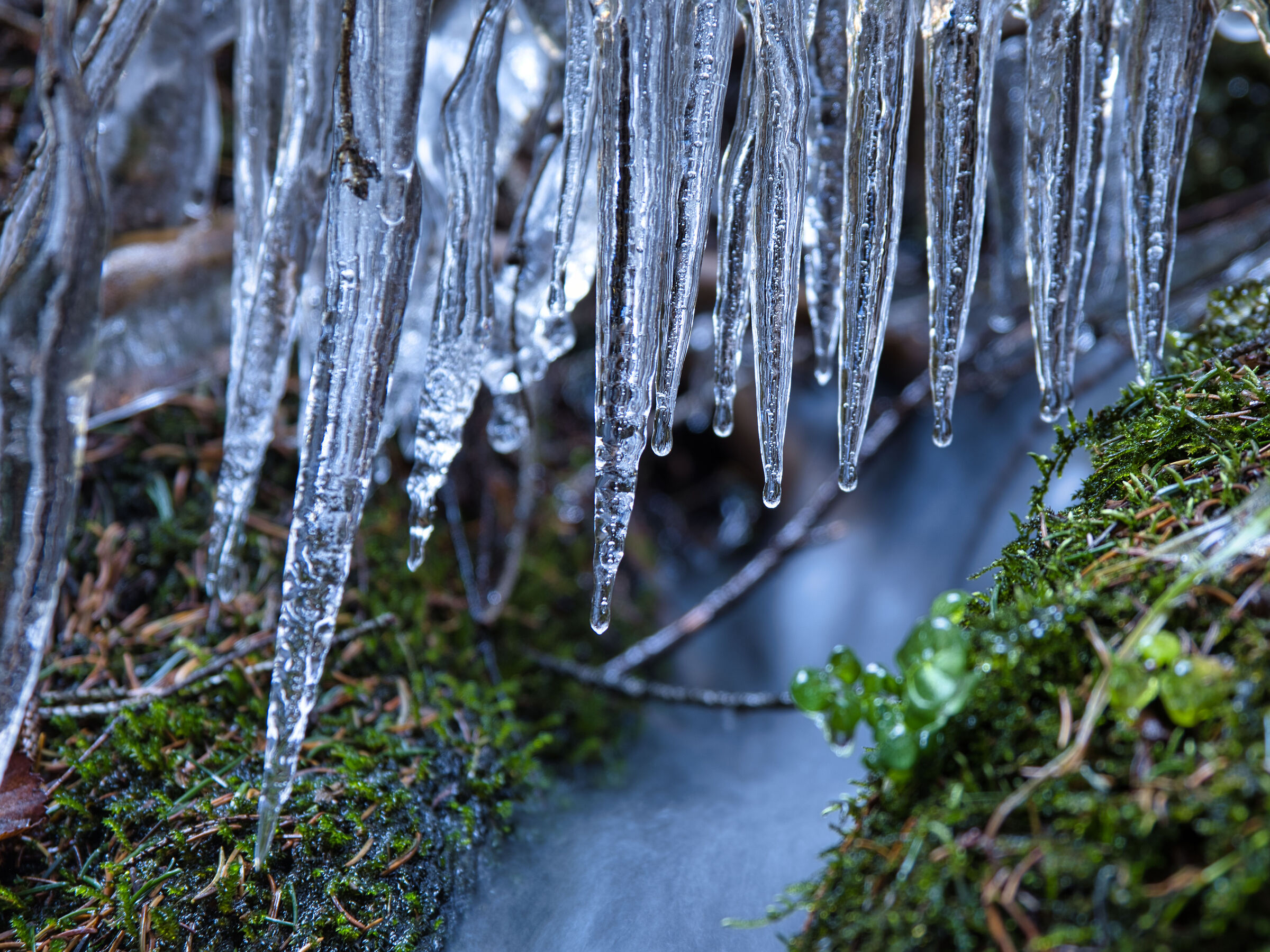 La forma dell'acqua 3