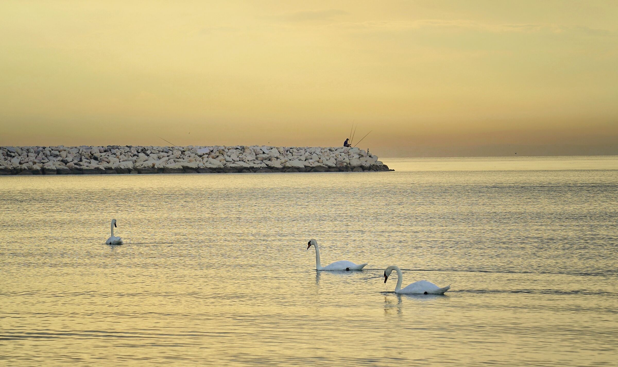 L'alba di un giorno.
